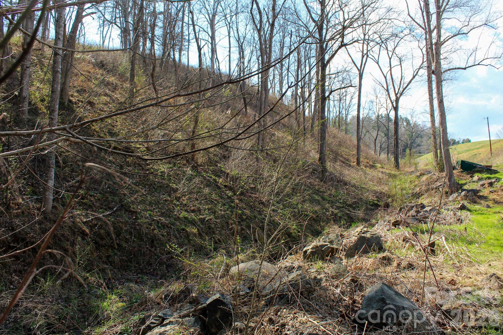 99999 Fletcher Martin Road Alexander, NC 28701 - Photo 35 of 47