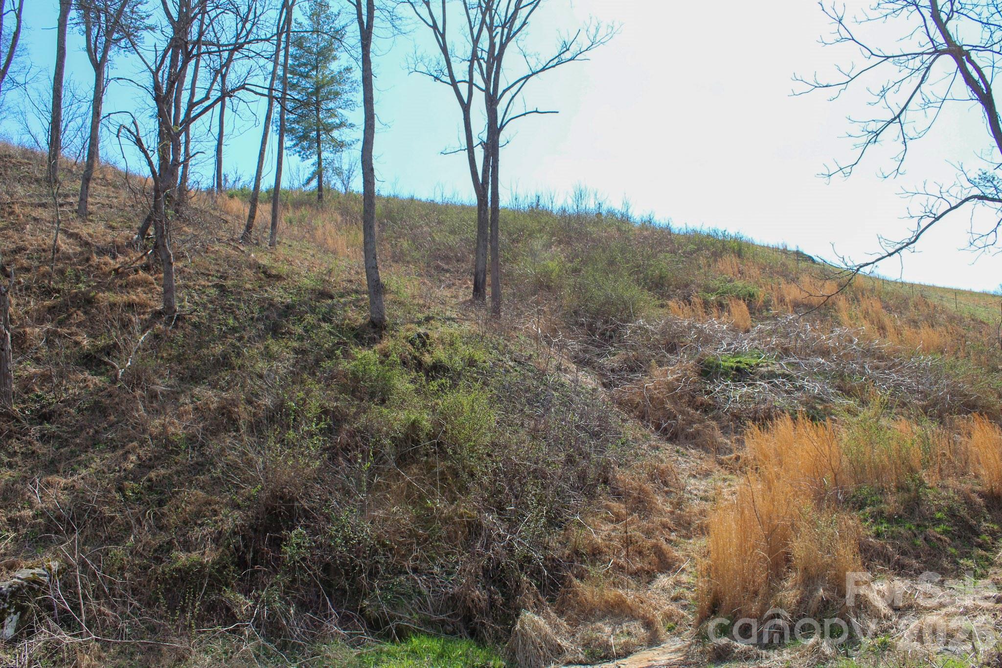 99999 Fletcher Martin Road Alexander, NC 28701 - Photo 36 of 47
