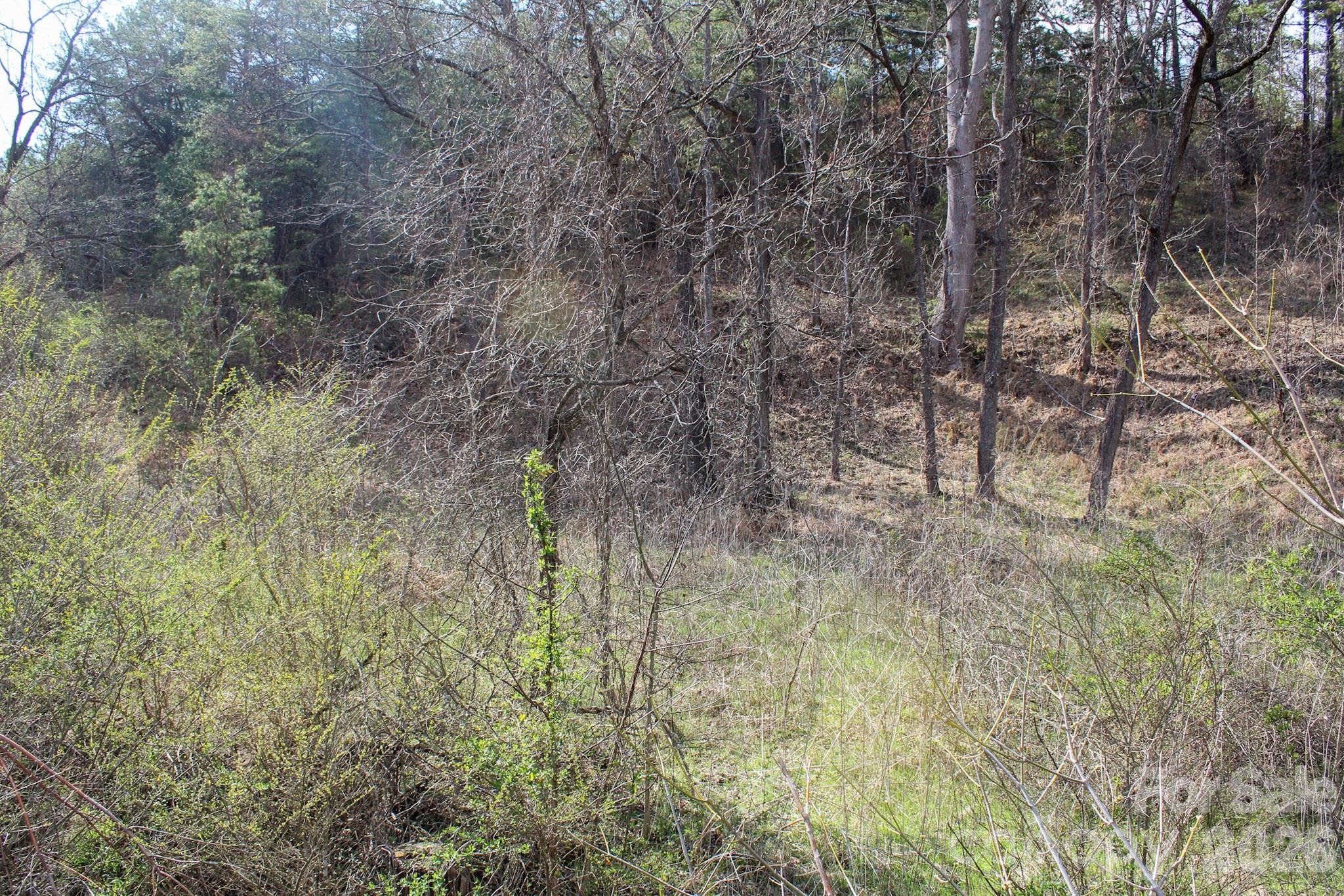 99999 Fletcher Martin Road Alexander, NC 28701 - Photo 37 of 47