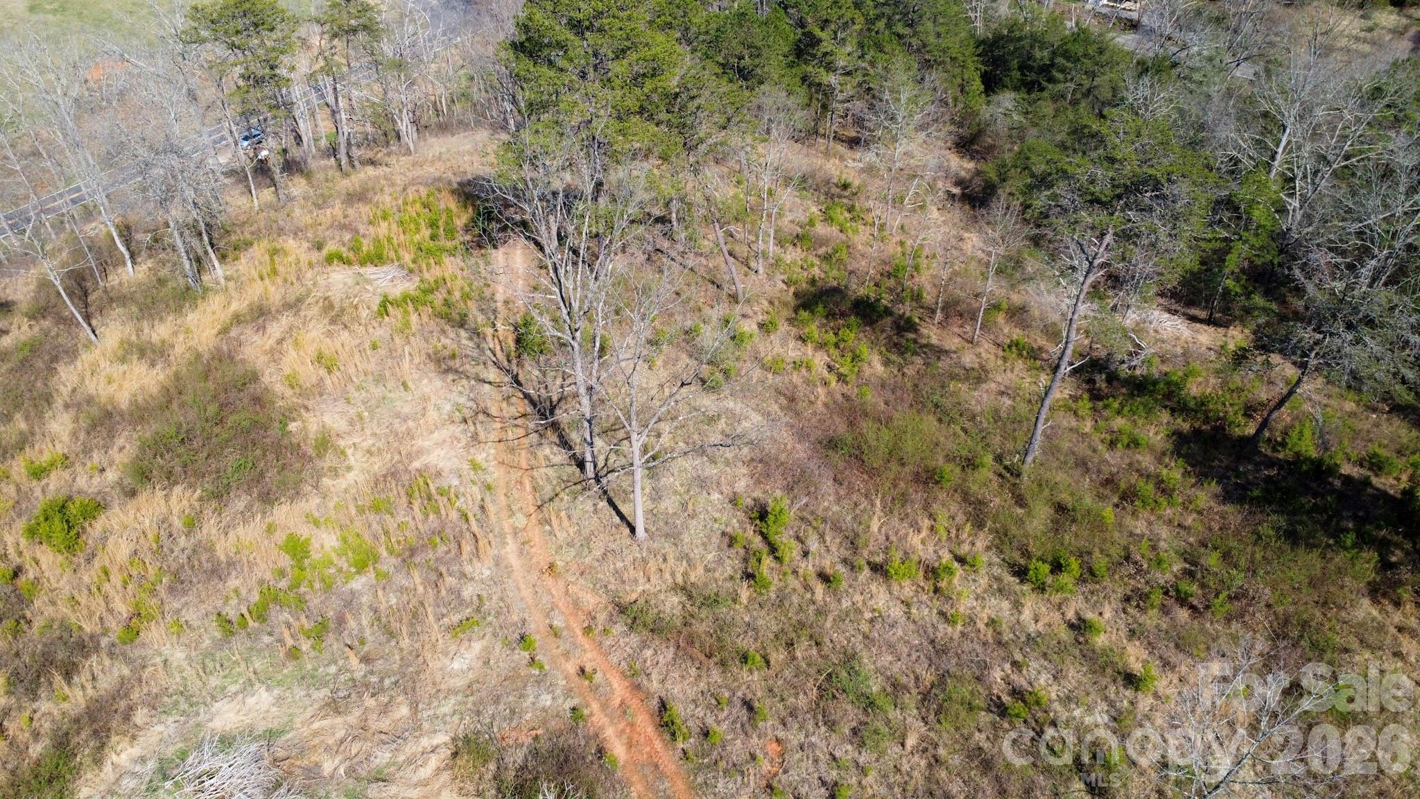 99999 Fletcher Martin Road Alexander, NC 28701 - Photo 38 of 47