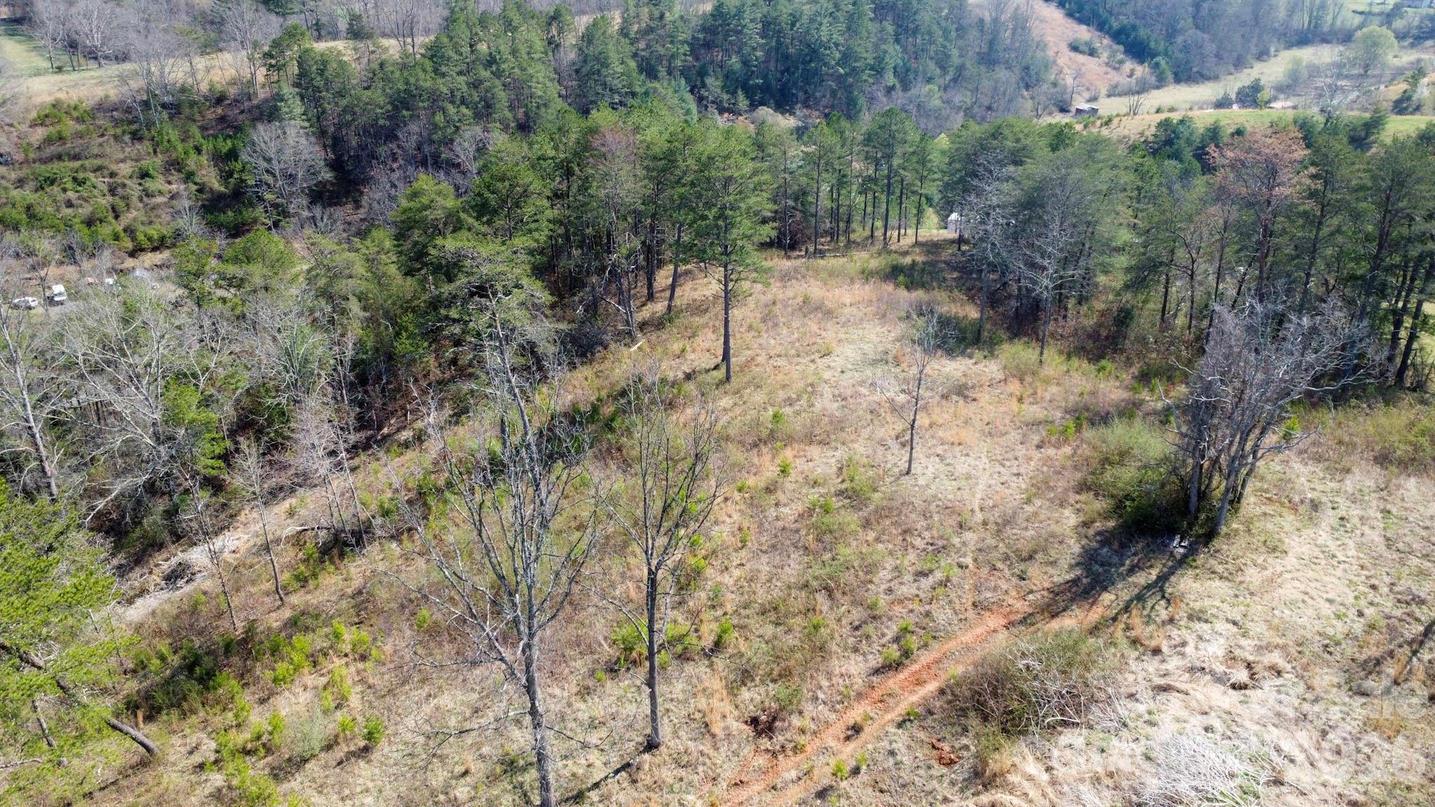 99999 Fletcher Martin Road Alexander, NC 28701 - Photo 39 of 47