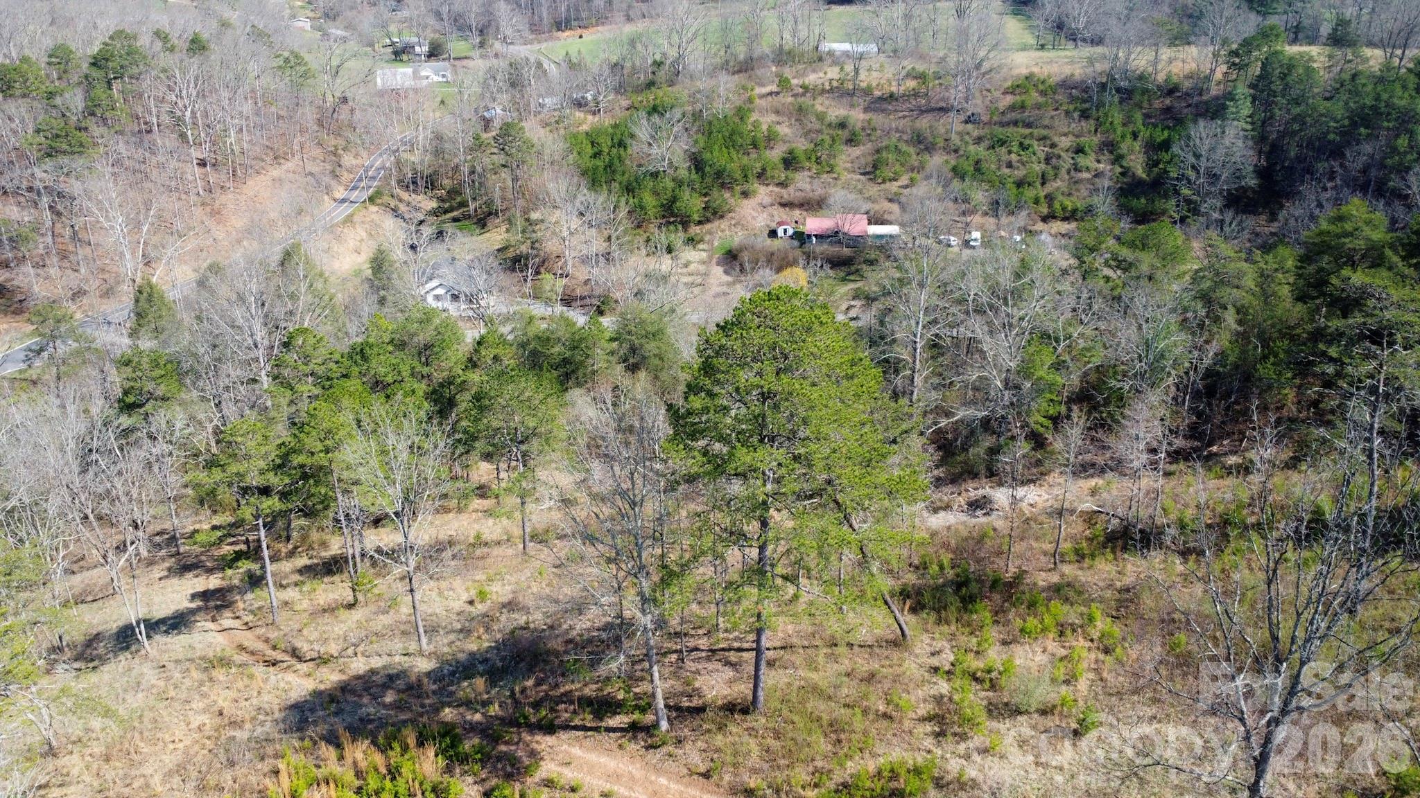 99999 Fletcher Martin Road Alexander, NC 28701 - Photo 40 of 47