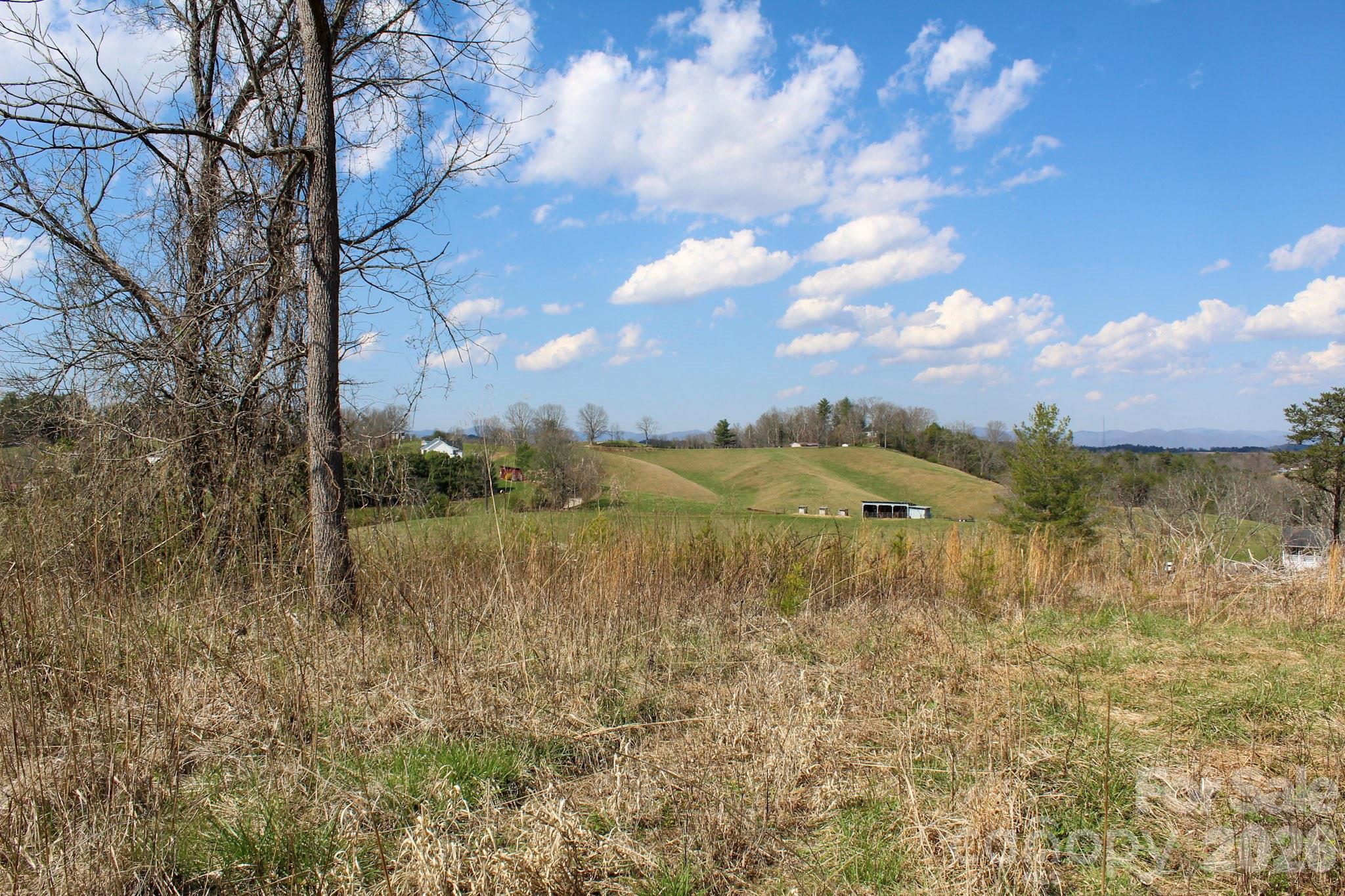 99999 Fletcher Martin Road Alexander, NC 28701 - Photo 4 of 47