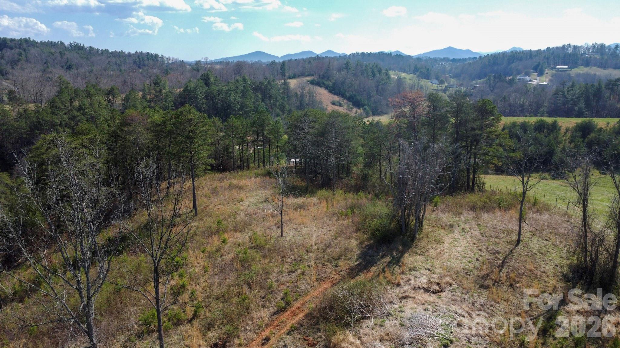 99999 Fletcher Martin Road Alexander, NC 28701 - Photo 41 of 47