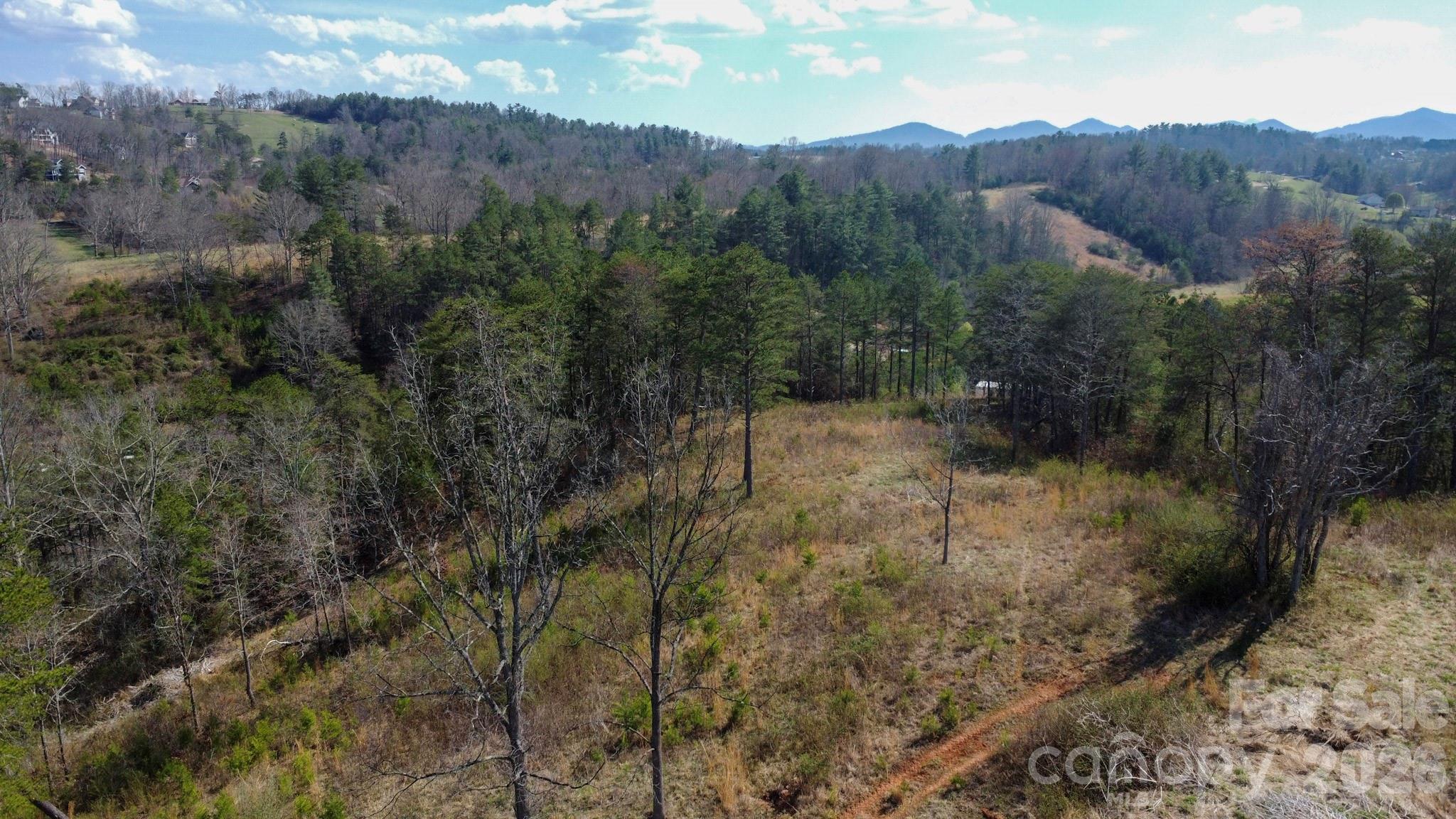 99999 Fletcher Martin Road Alexander, NC 28701 - Photo 42 of 47