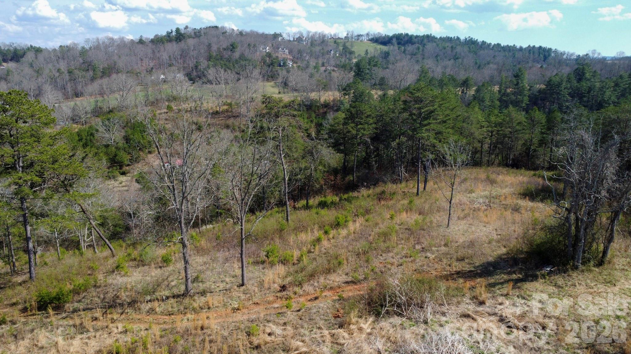 99999 Fletcher Martin Road Alexander, NC 28701 - Photo 43 of 47