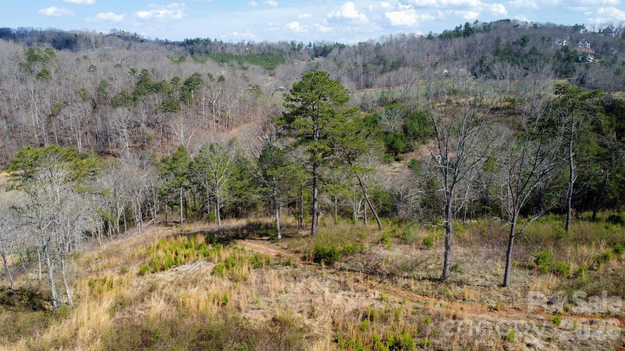 99999 Fletcher Martin Road Alexander, NC 28701 - Photo 44 of 47