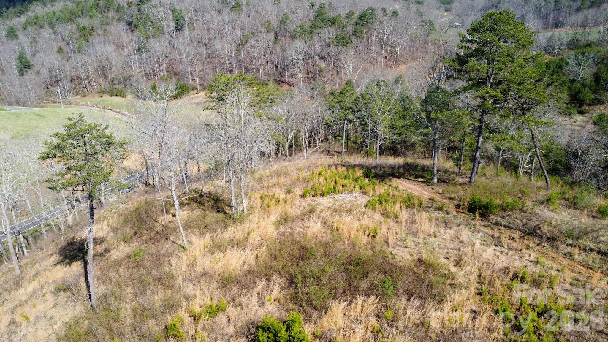 99999 Fletcher Martin Road Alexander, NC 28701 - Photo 45 of 47