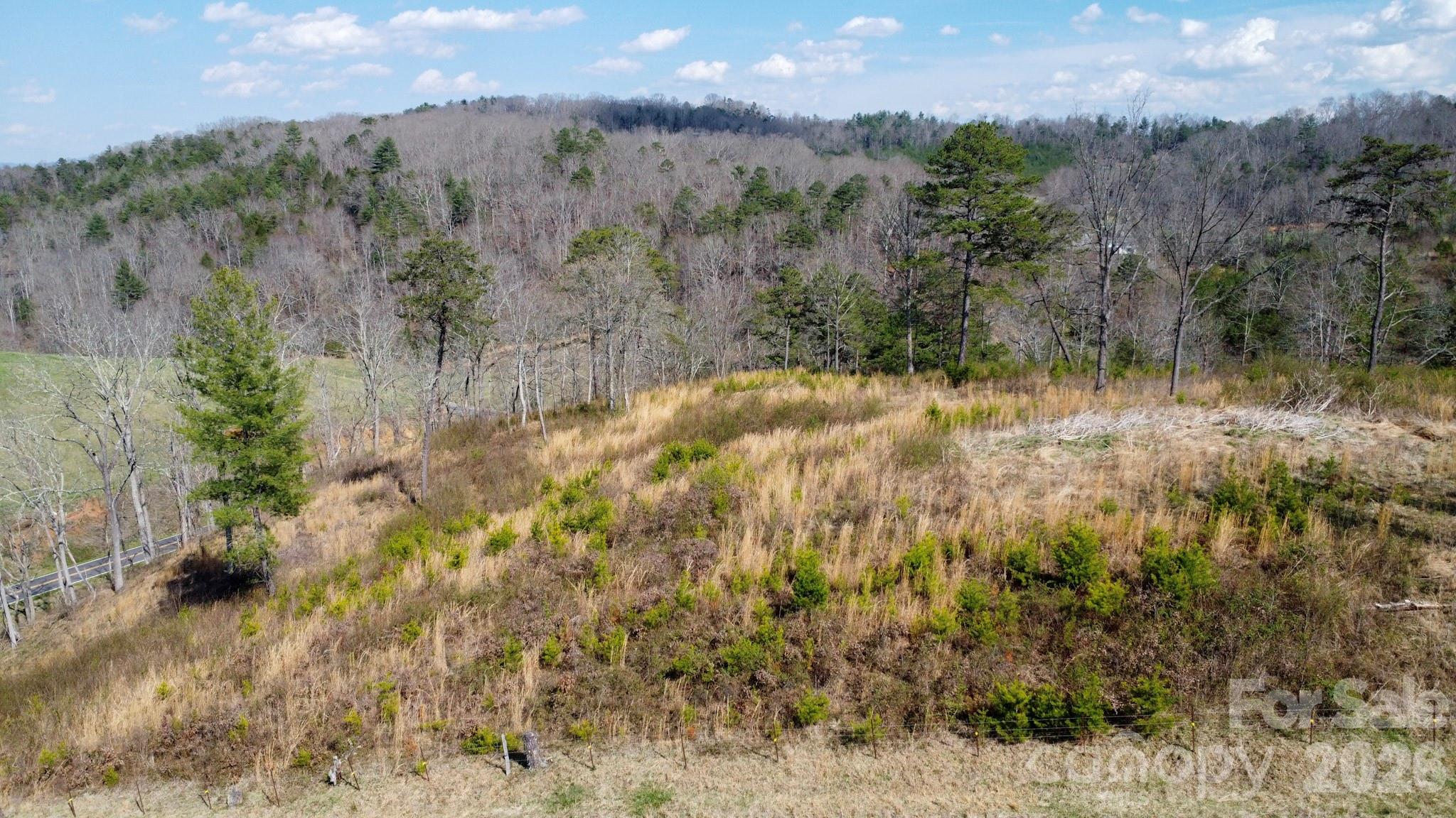 99999 Fletcher Martin Road Alexander, NC 28701 - Photo 46 of 47