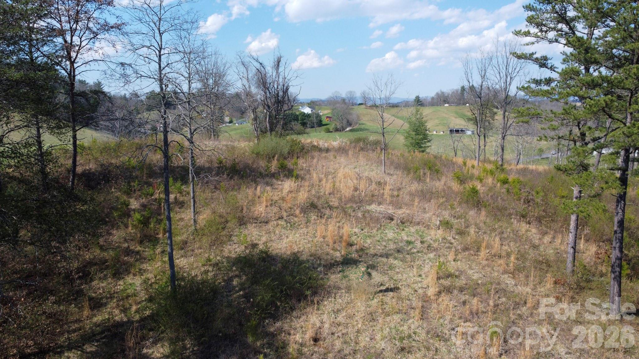 99999 Fletcher Martin Road Alexander, NC 28701 - Photo 47 of 47