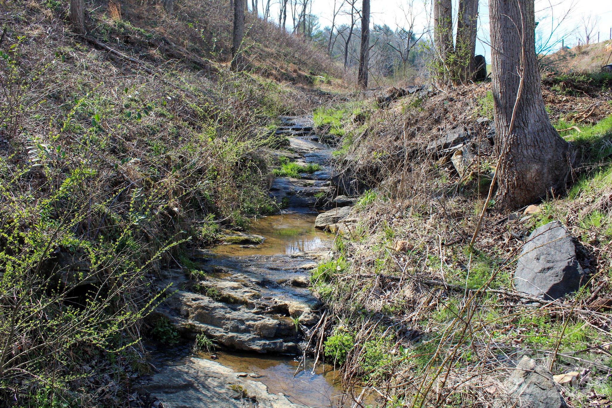 99999 Fletcher Martin Road Alexander, NC 28701 - Photo 5 of 47