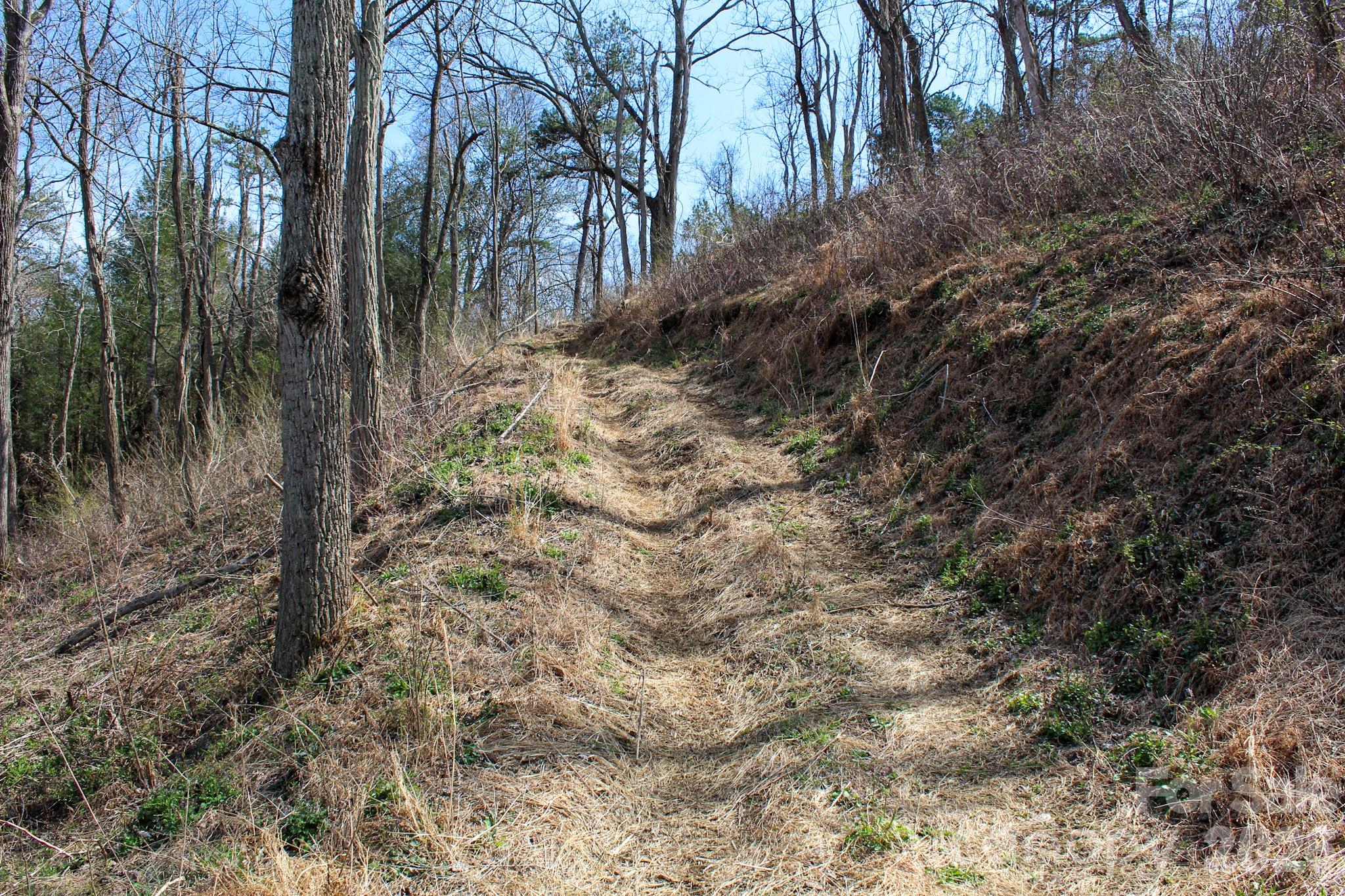 99999 Fletcher Martin Road Alexander, NC 28701 - Photo 6 of 47