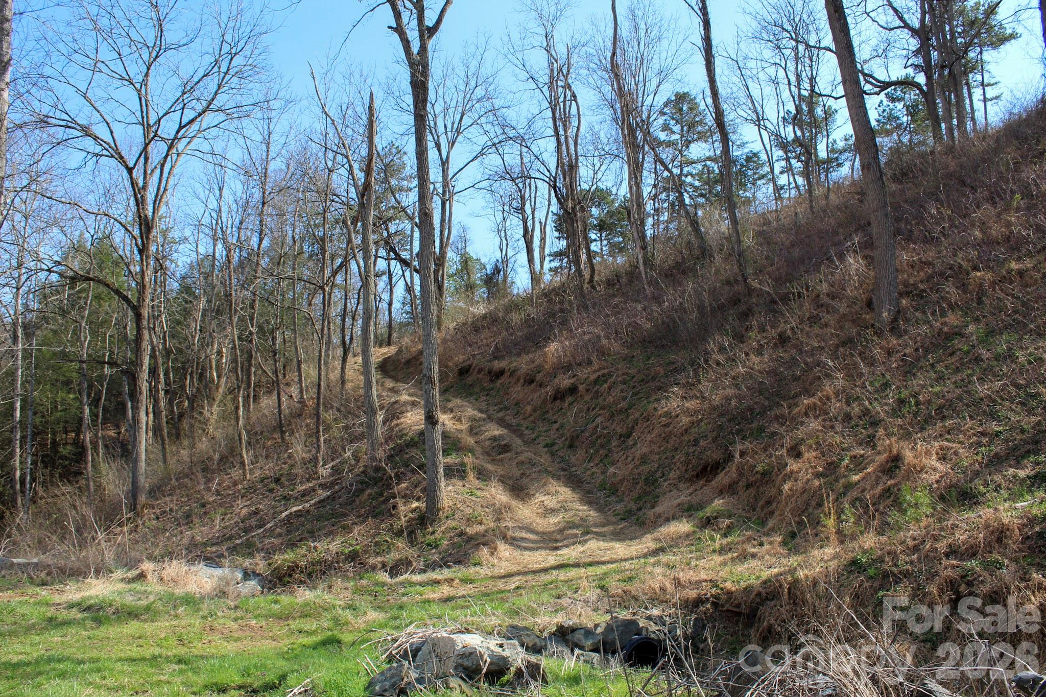 99999 Fletcher Martin Road Alexander, NC 28701 - Photo 7 of 47