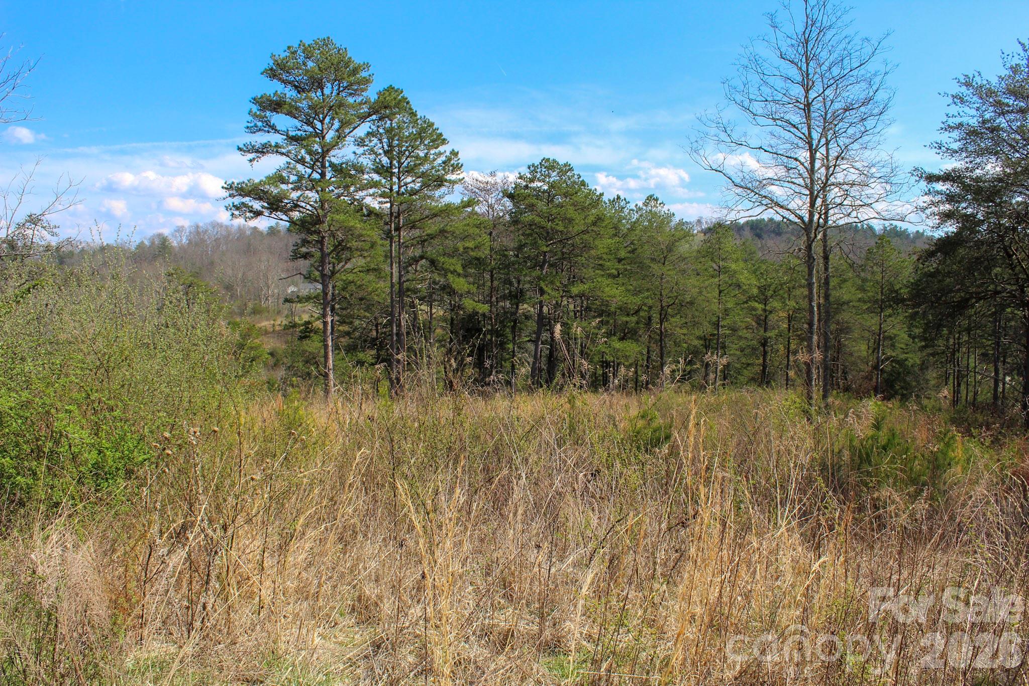 99999 Fletcher Martin Road Alexander, NC 28701 - Photo 9 of 47
