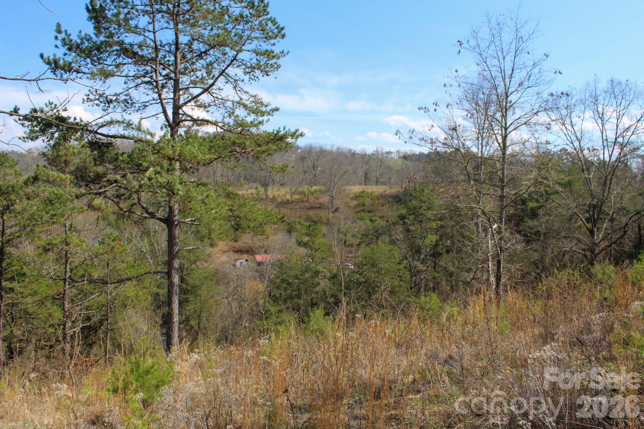 99999 Fletcher Martin Road Alexander, NC 28701 - Photo 10 of 47