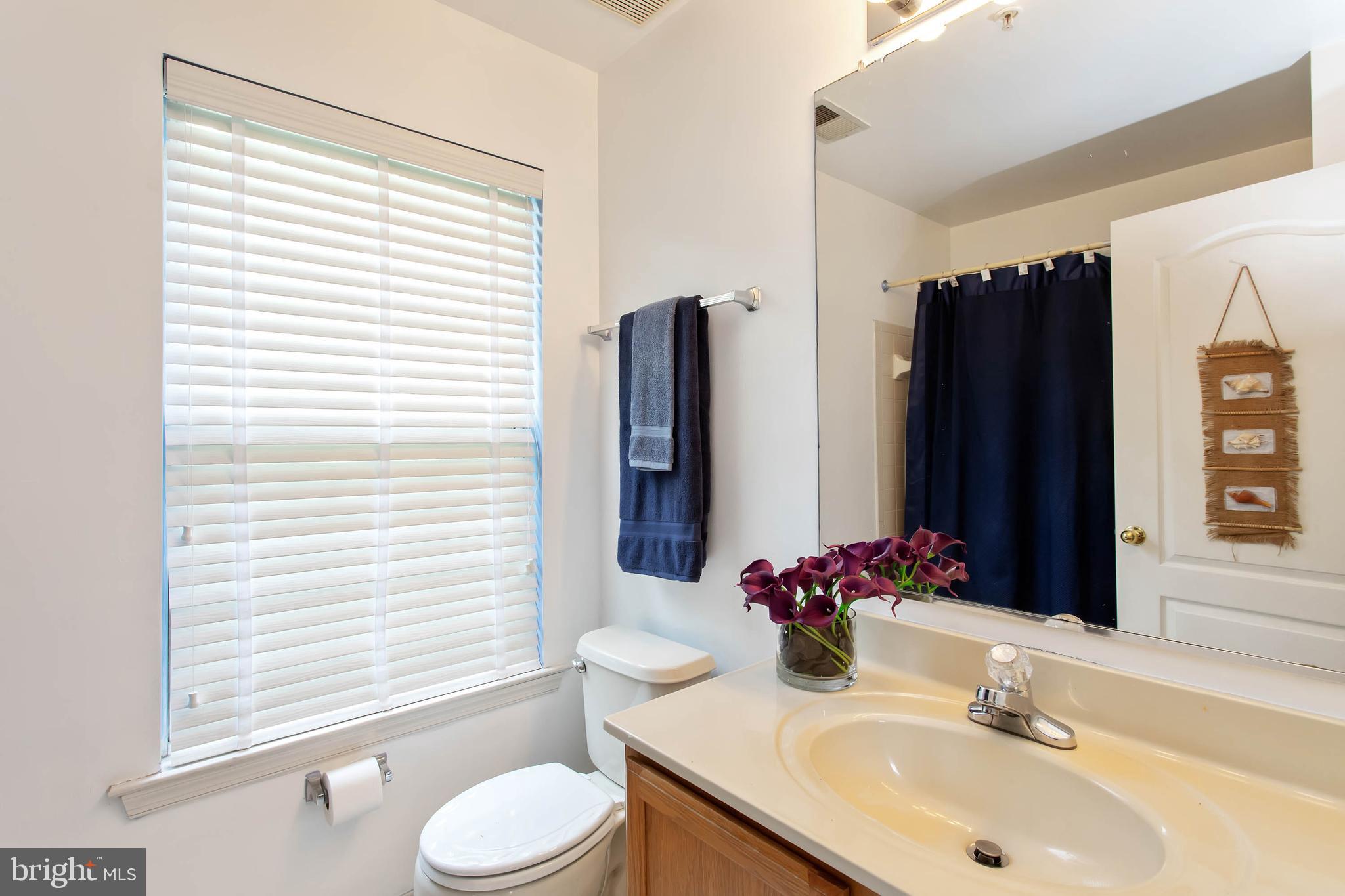 130 Carolstowne Road Reisterstown, MD 21136 - Photo 23 of 40 Master bathroom
