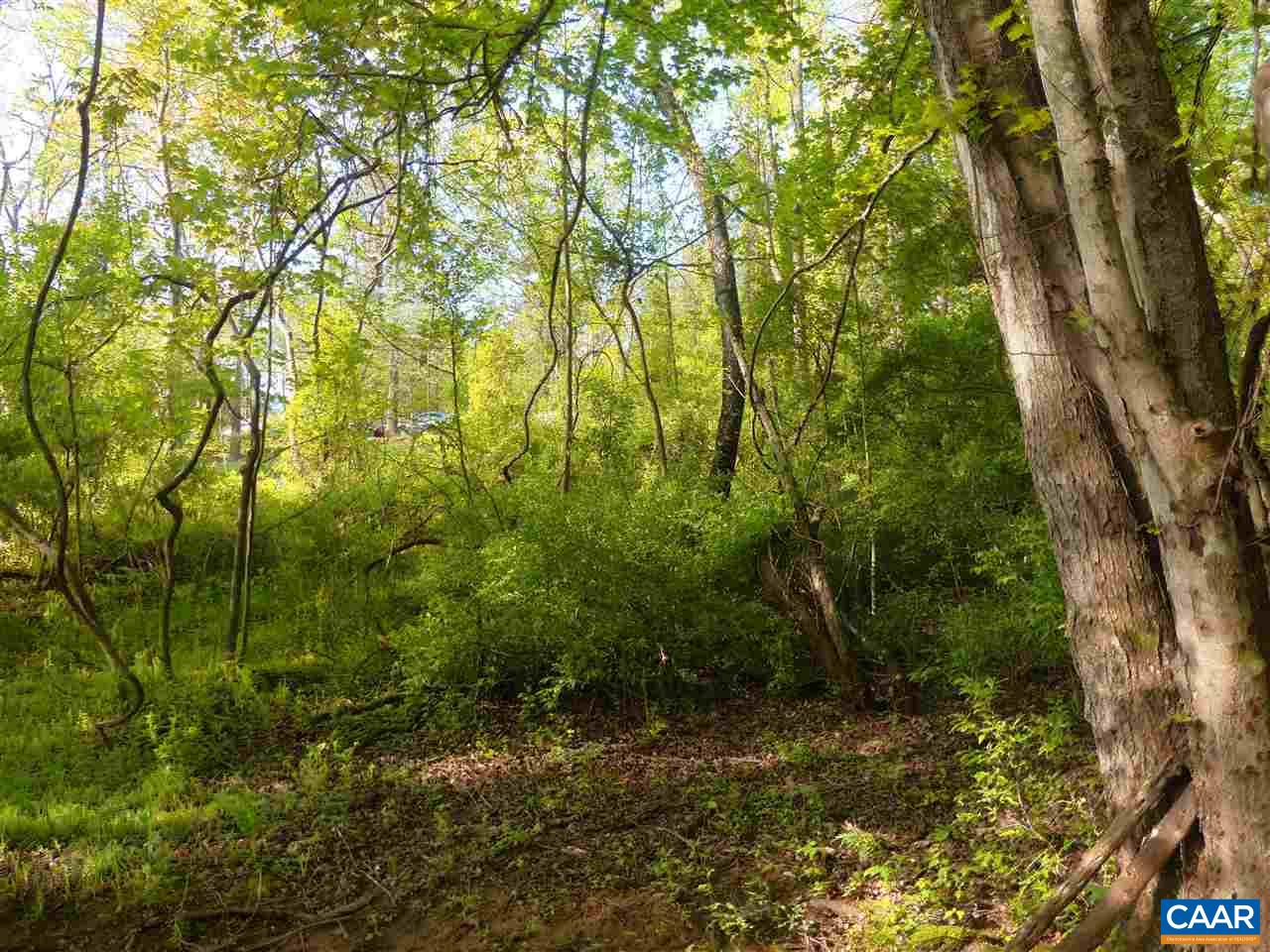 499 West Daffodil Road Ruckersville, VA 22968 - Photo 3 of 7 a view of lush green forest
