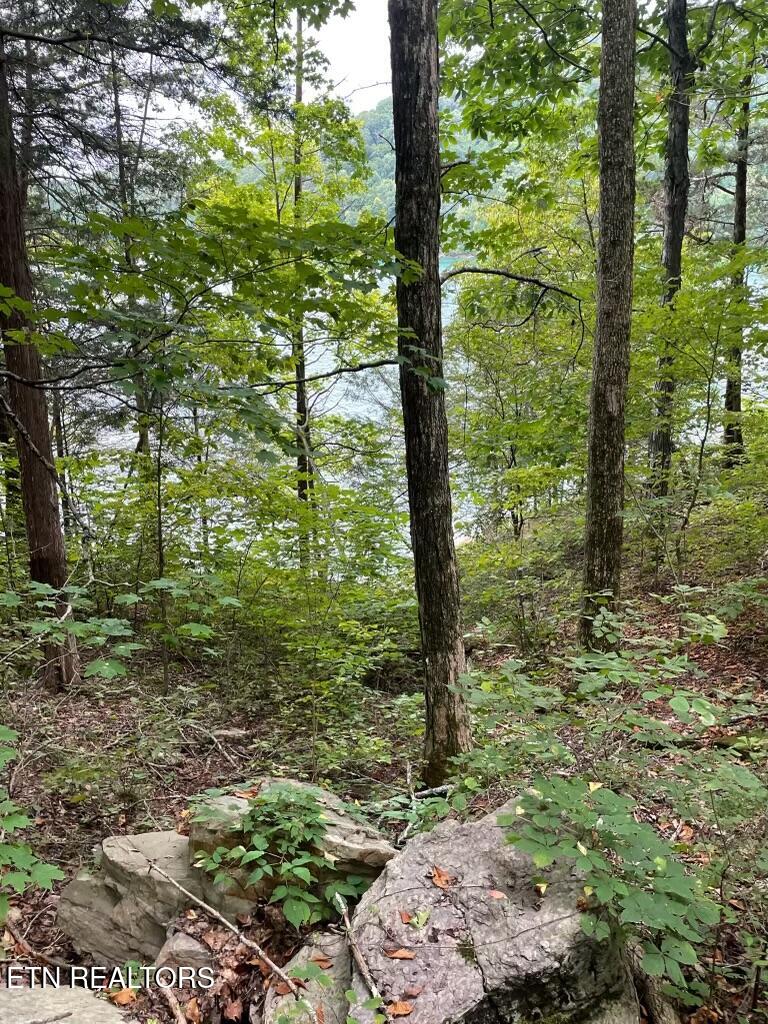 Lot 784 Russell Brothers Road Sharps Chapel, TN 37866 - Photo 5 of 21 IMG_0070