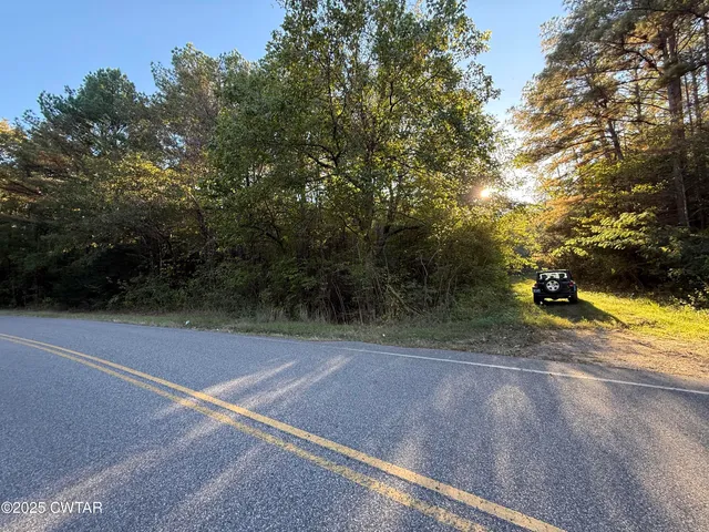 a view of a yard with plants and trees
