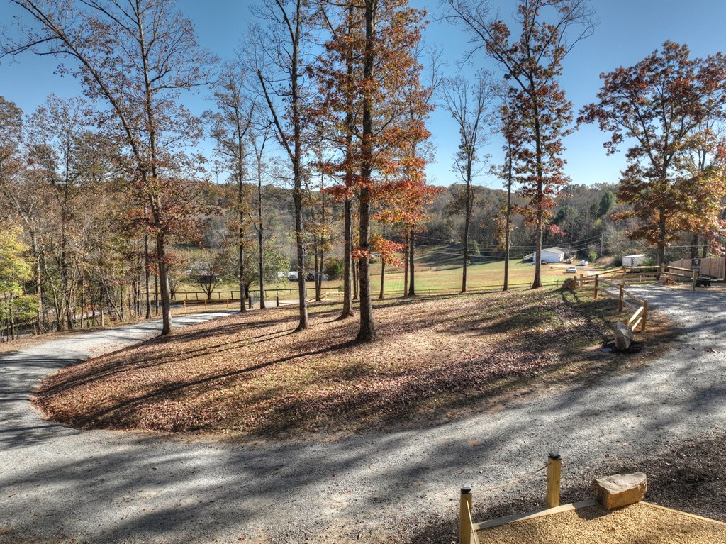 379 Forge Mill Road Mineral Bluff, GA 30559 - Photo 47 of 48 Gallery Image 47