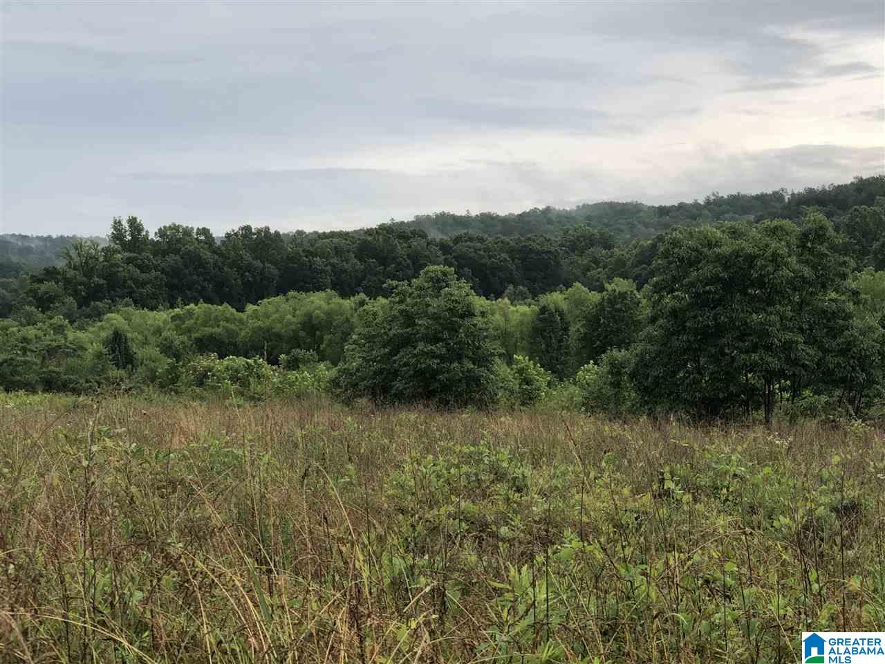 0 Old Downey Mill Road Anniston, AL 36207 - Photo 3 of 28