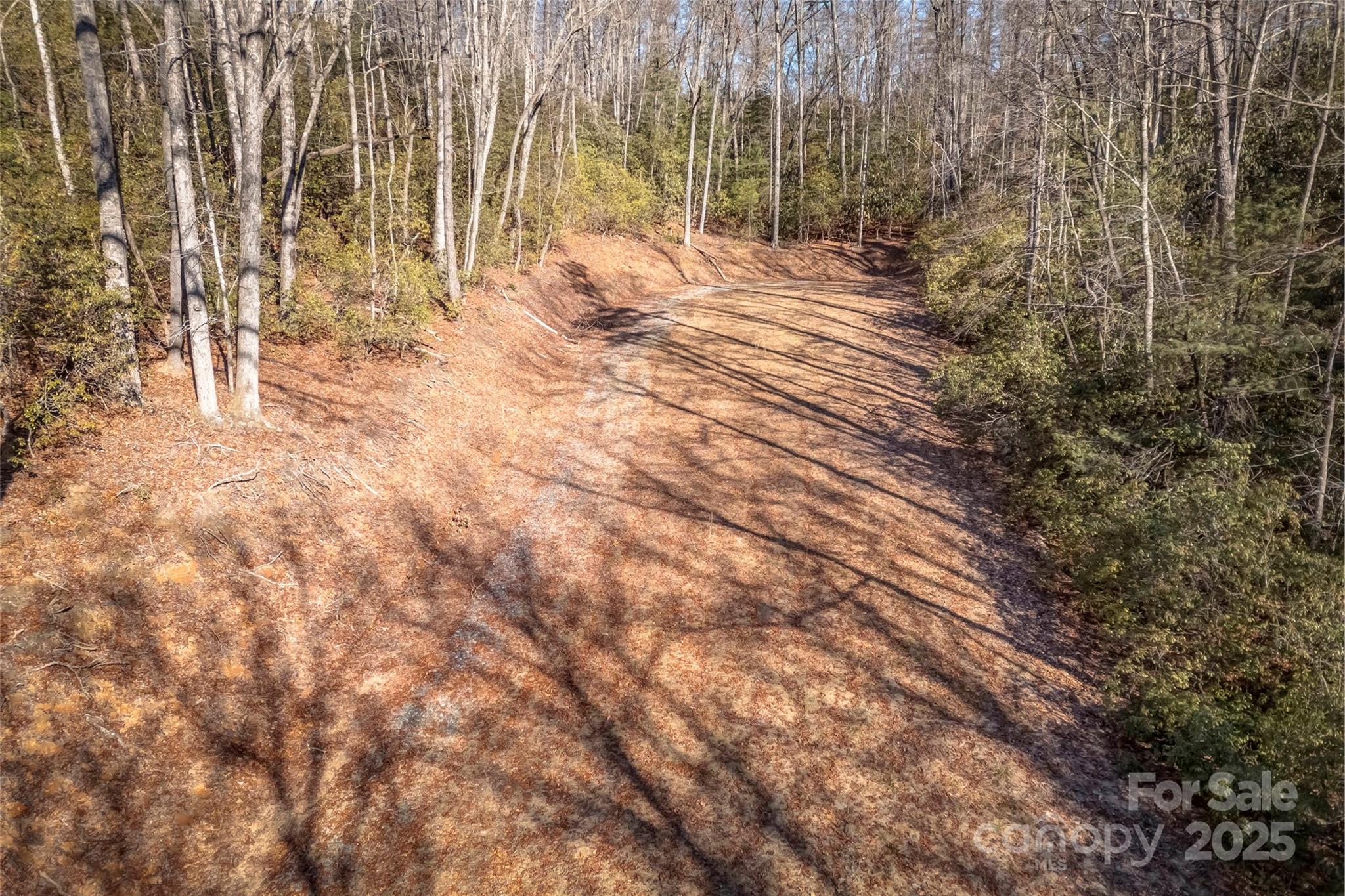 4 Long Branch Road, Unit 4 Brevard, NC 28712 - Photo 11 of 33 Gallery Image 11