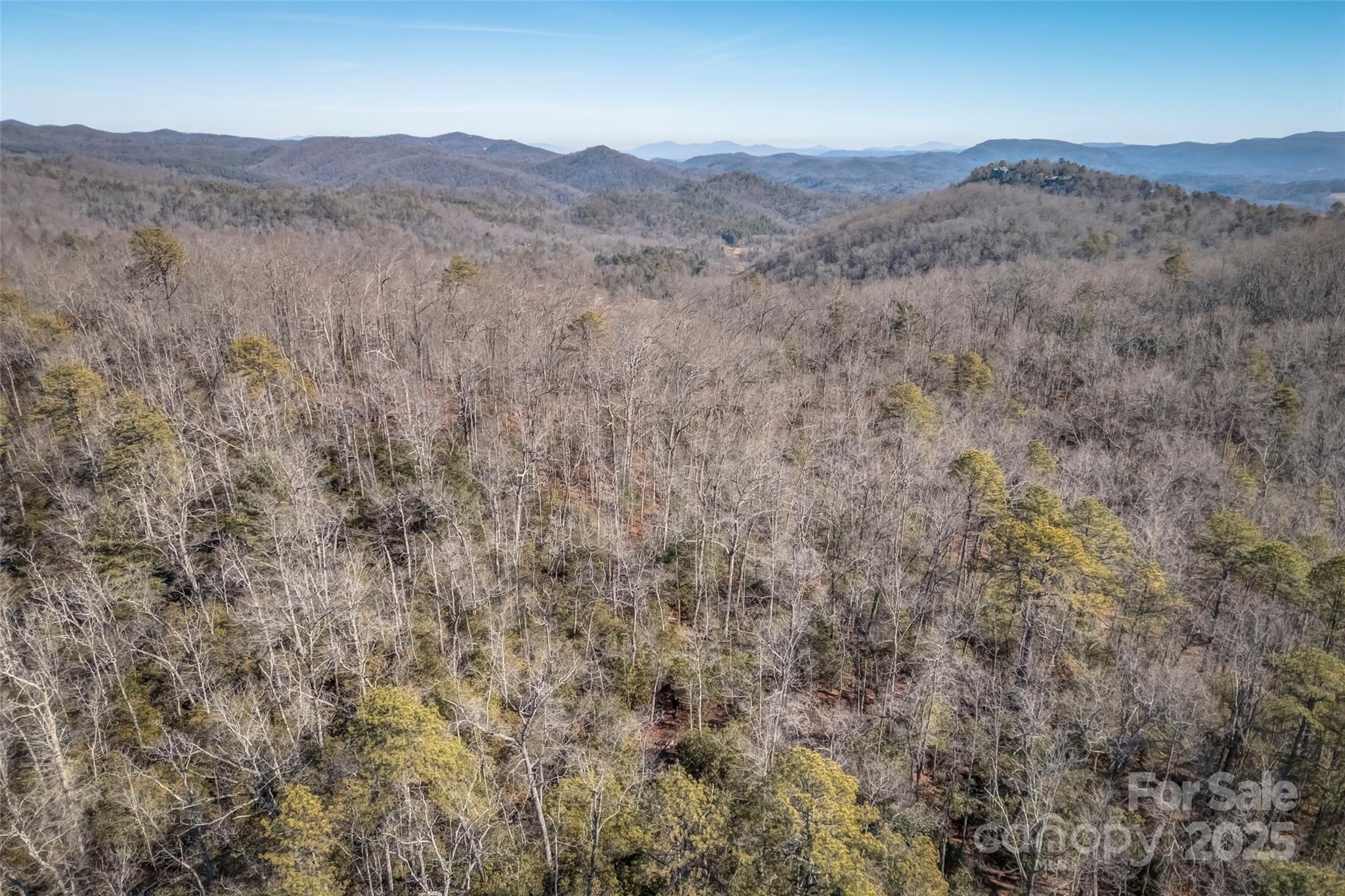 4 Long Branch Road, Unit 4 Brevard, NC 28712 - Photo 20 of 33 Gallery Image 20