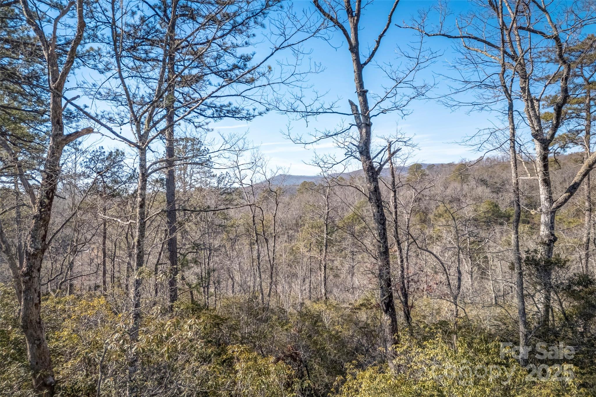 4 Long Branch Road, Unit 4 Brevard, NC 28712 - Photo 22 of 33 Gallery Image 22