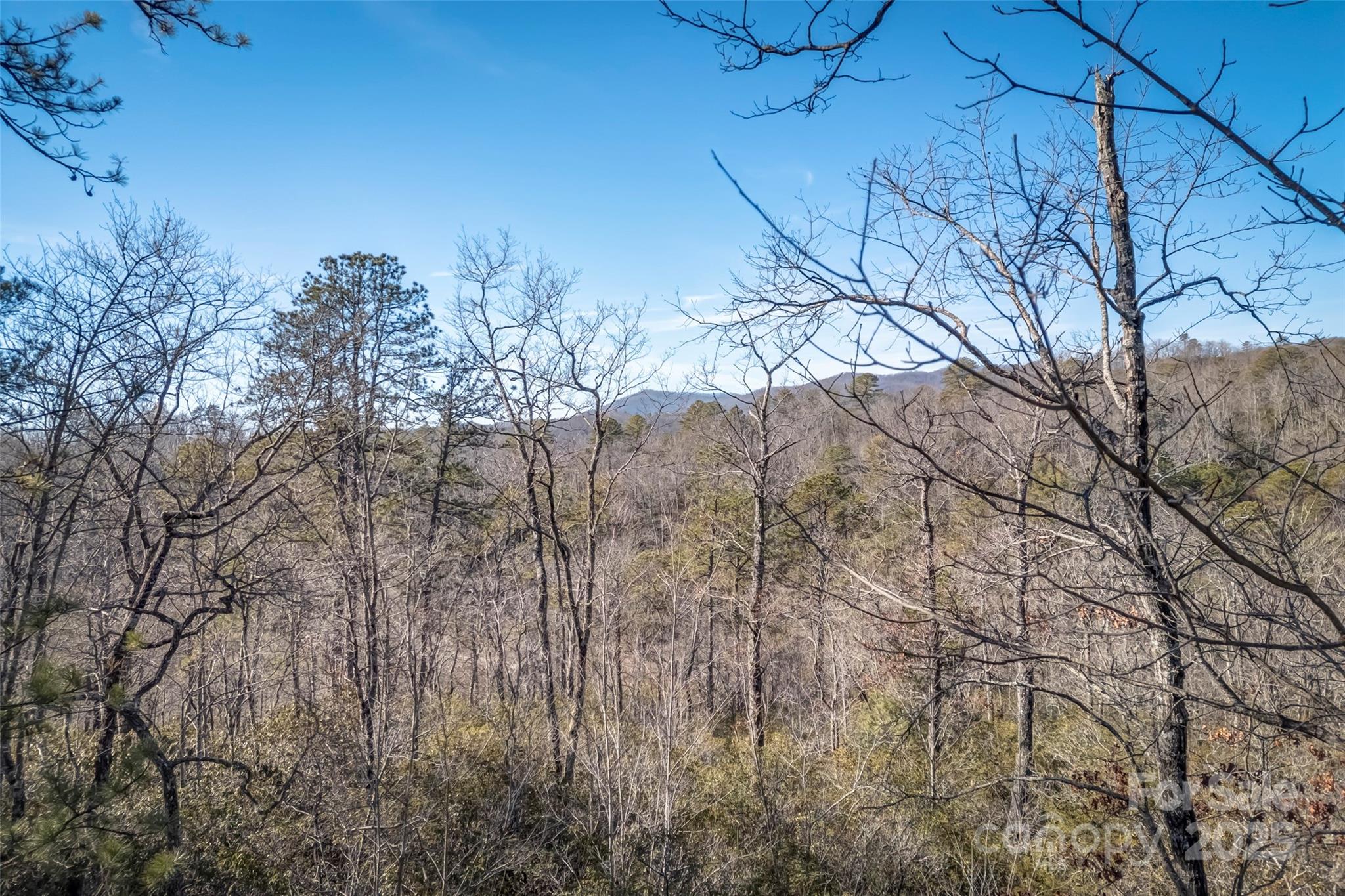4 Long Branch Road, Unit 4 Brevard, NC 28712 - Photo 23 of 33 Gallery Image 23