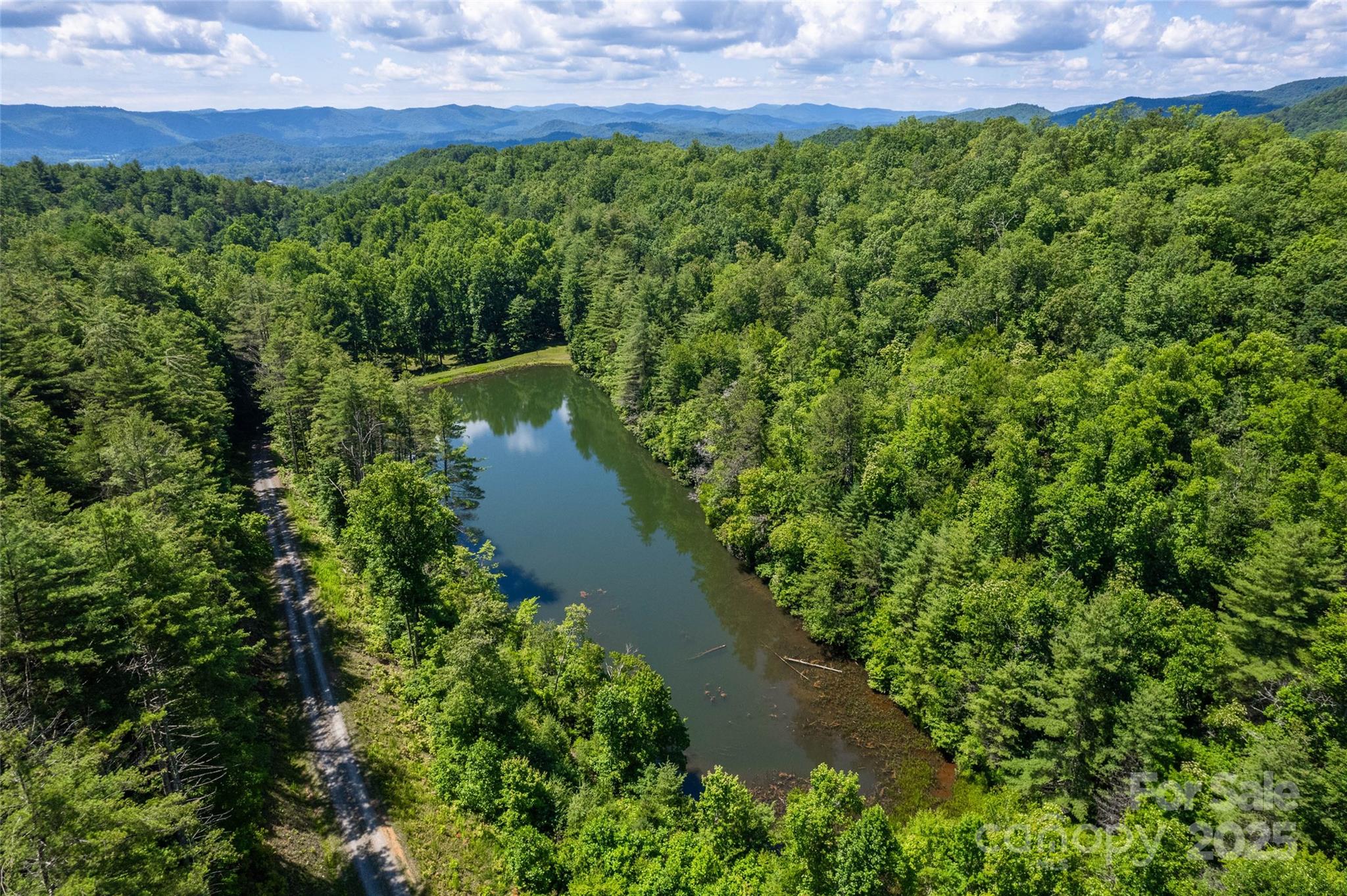 4 Long Branch Road, Unit 4 Brevard, NC 28712 - Photo 24 of 33 Gallery Image 24