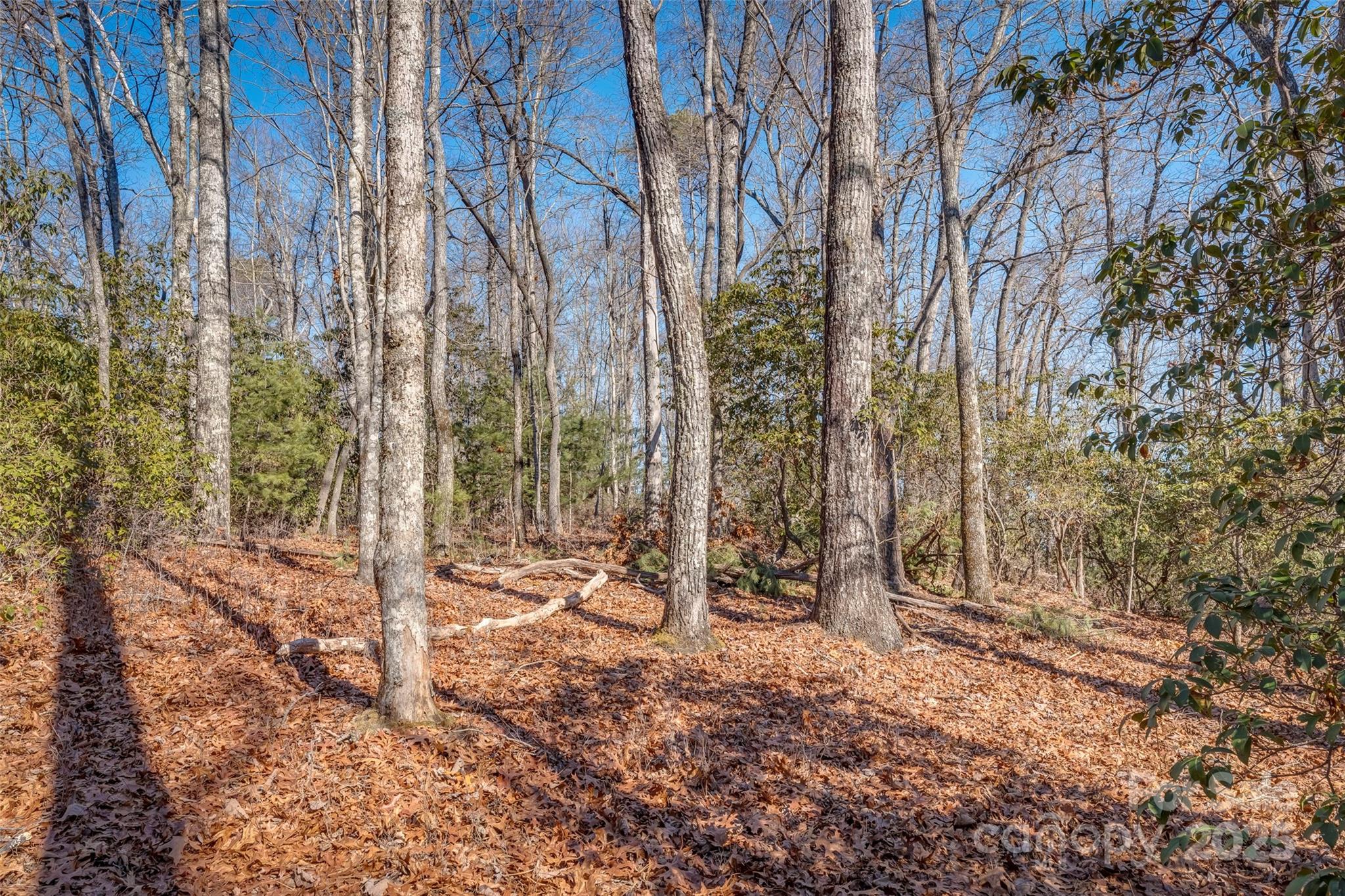 4 Long Branch Road, Unit 4 Brevard, NC 28712 - Photo 29 of 33 Gallery Image 29