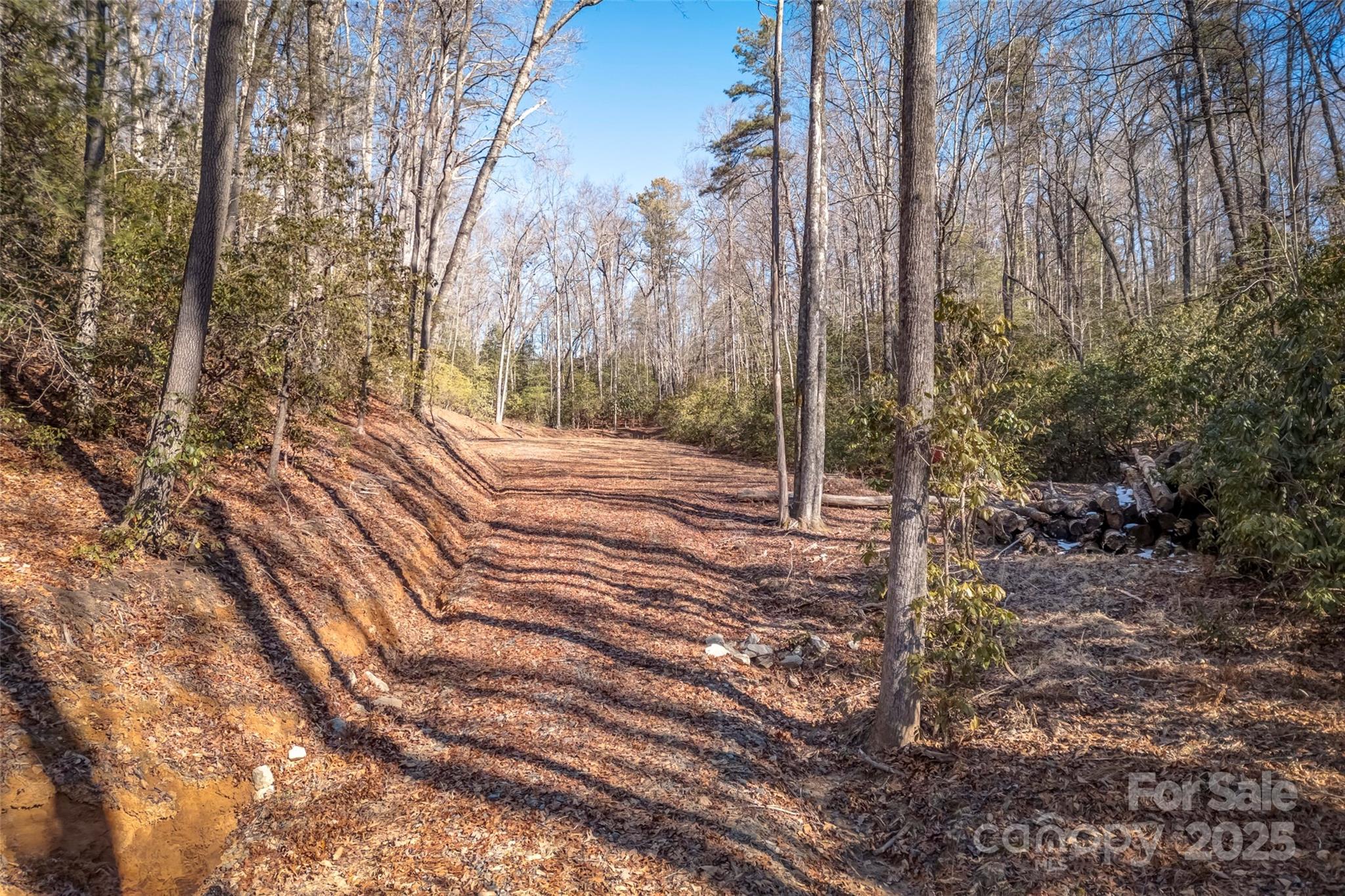 4 Long Branch Road, Unit 4 Brevard, NC 28712 - Photo 8 of 33 Gallery Image 8