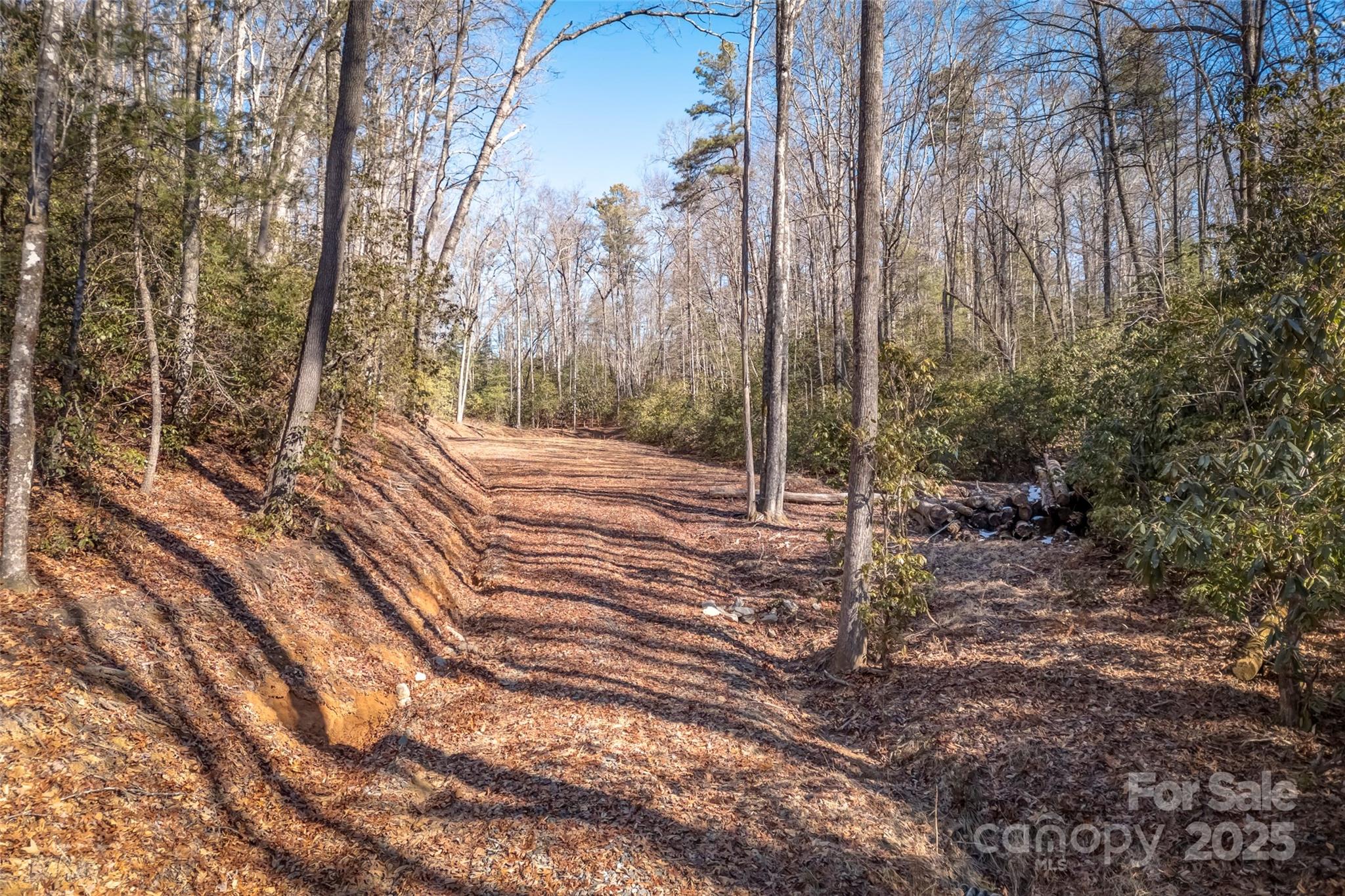 4 Long Branch Road, Unit 4 Brevard, NC 28712 - Photo 9 of 33 Gallery Image 9