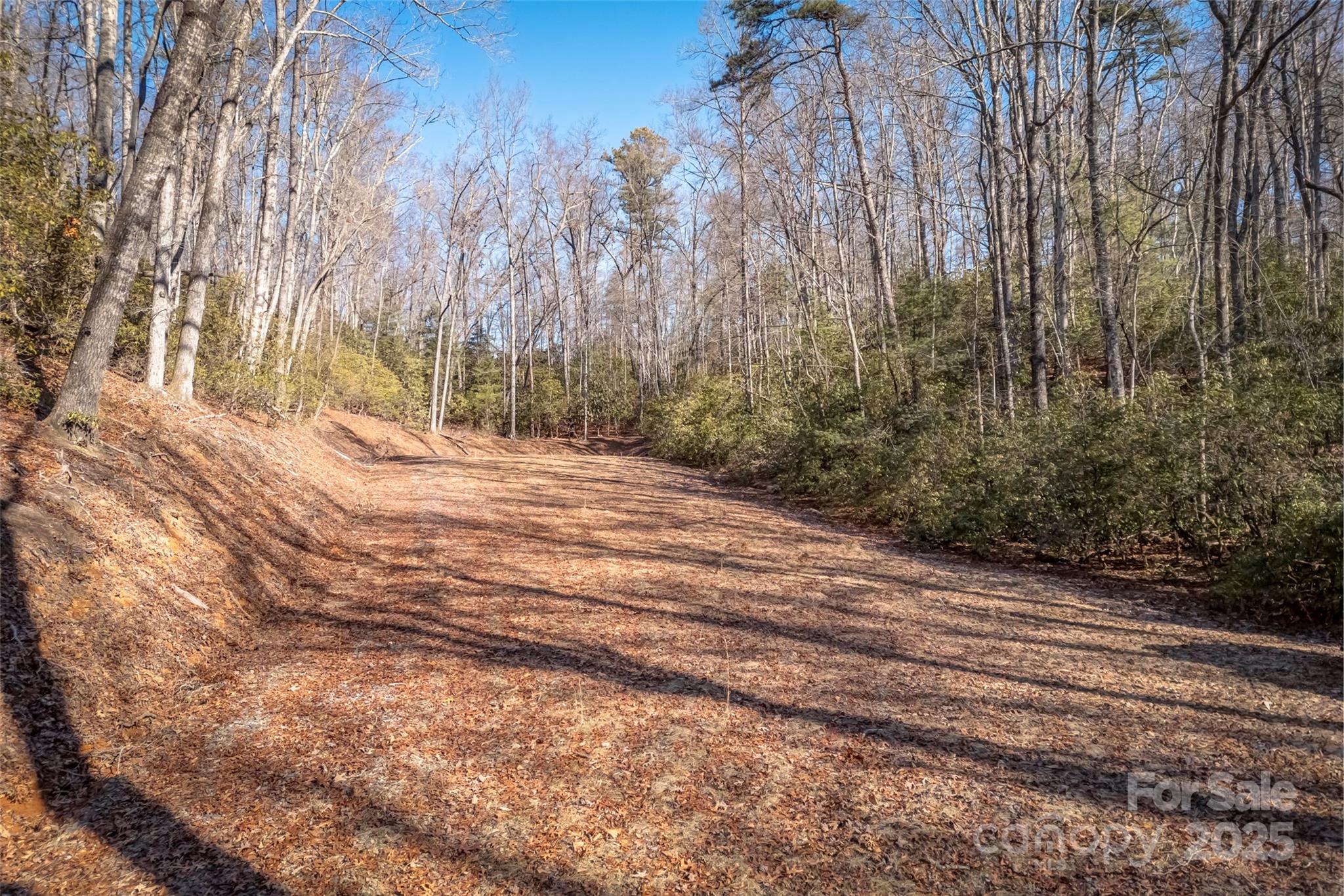 4 Long Branch Road, Unit 4 Brevard, NC 28712 - Photo 10 of 33 Gallery Image 10