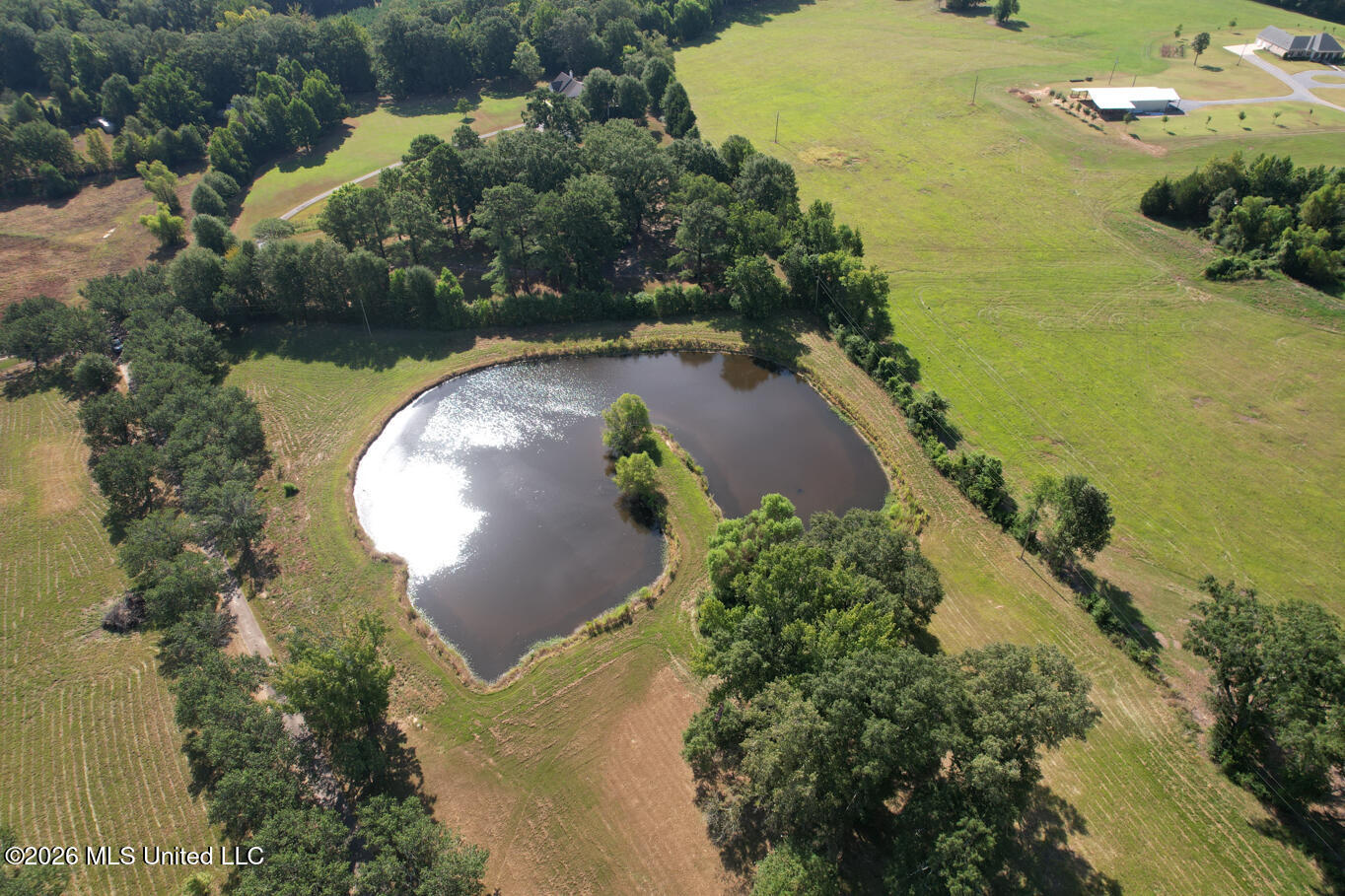 135 Cidero Road Raymond, MS 39154 - Photo 8 of 61 Hinds 17.7 Cidero-8