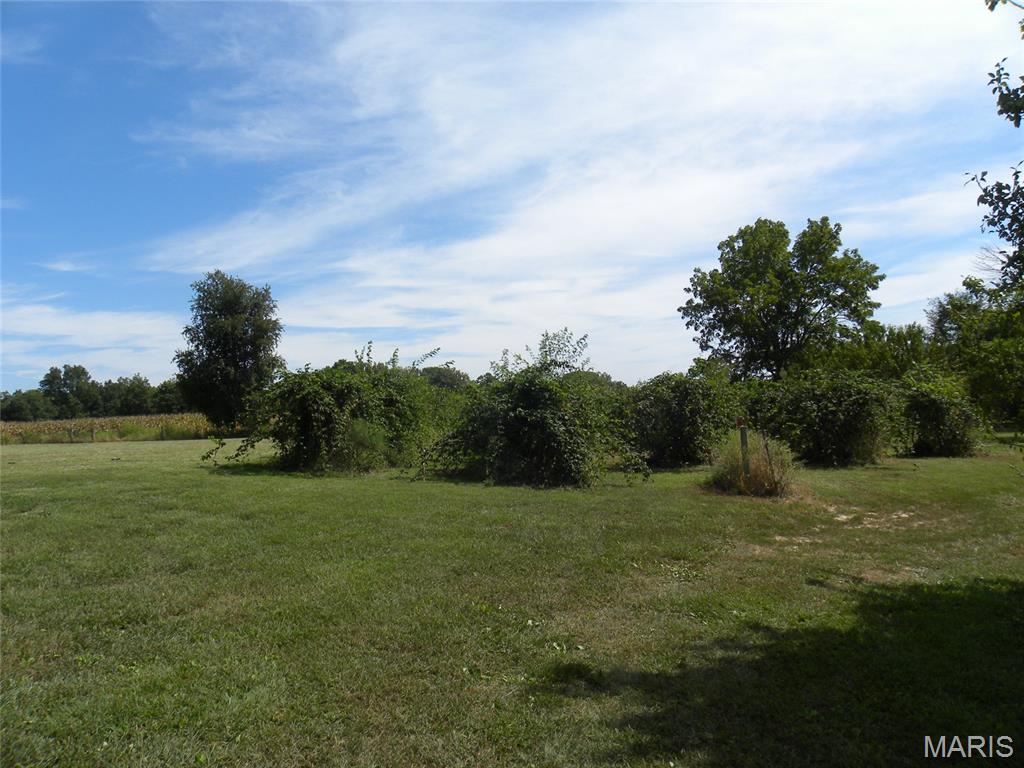 21512 Richey Hollow Road Jerseyville, IL 62052 - Photo 7 of 50 Gallery Image 7