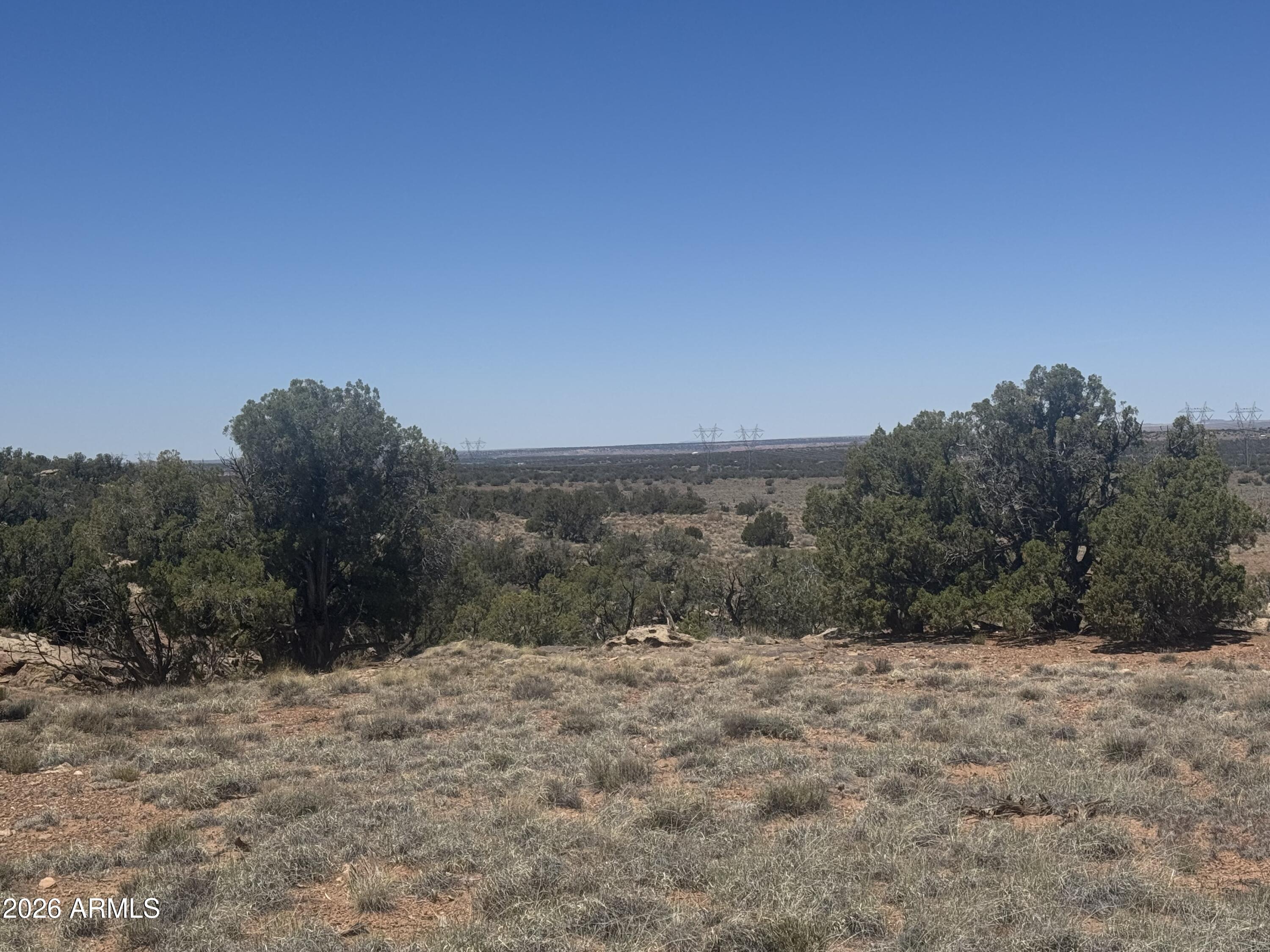 Lot 261 Woodridge Ranch, Unit 261 Concho, AZ 85924 - Photo 5 of 24 IMG_1504