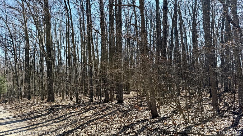 304 Balsam Road Roscommon, MI 48653 - Photo 27 of 31