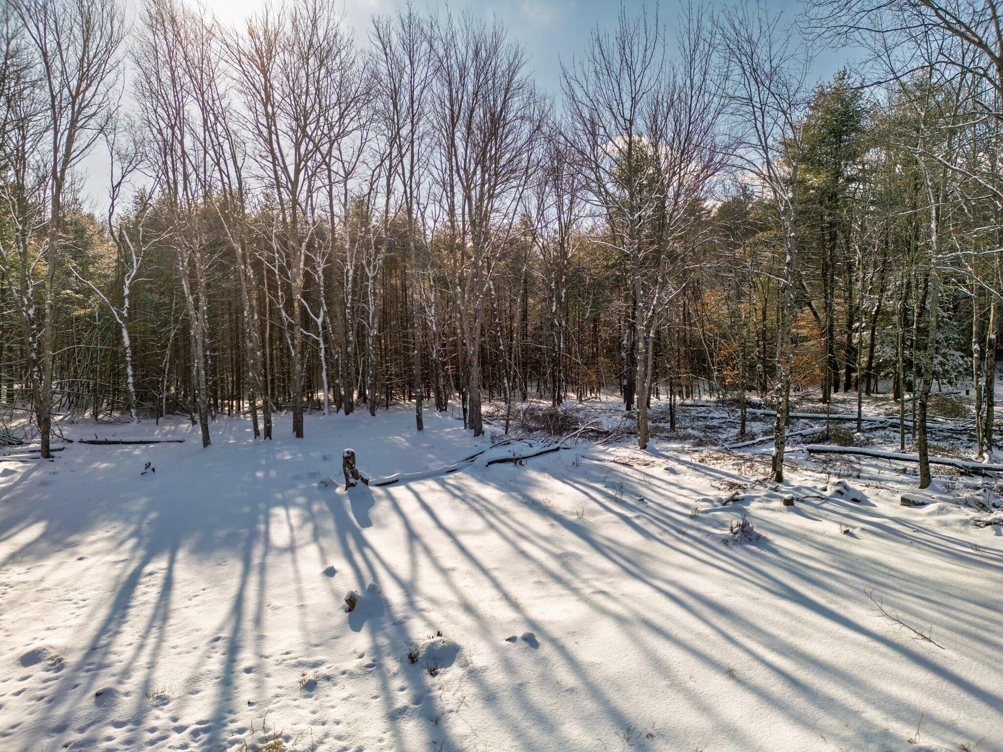Tbd Cranberry Road Waterboro, ME 04087 - Photo 36 of 36 21-web-or-mls-DJI_0166