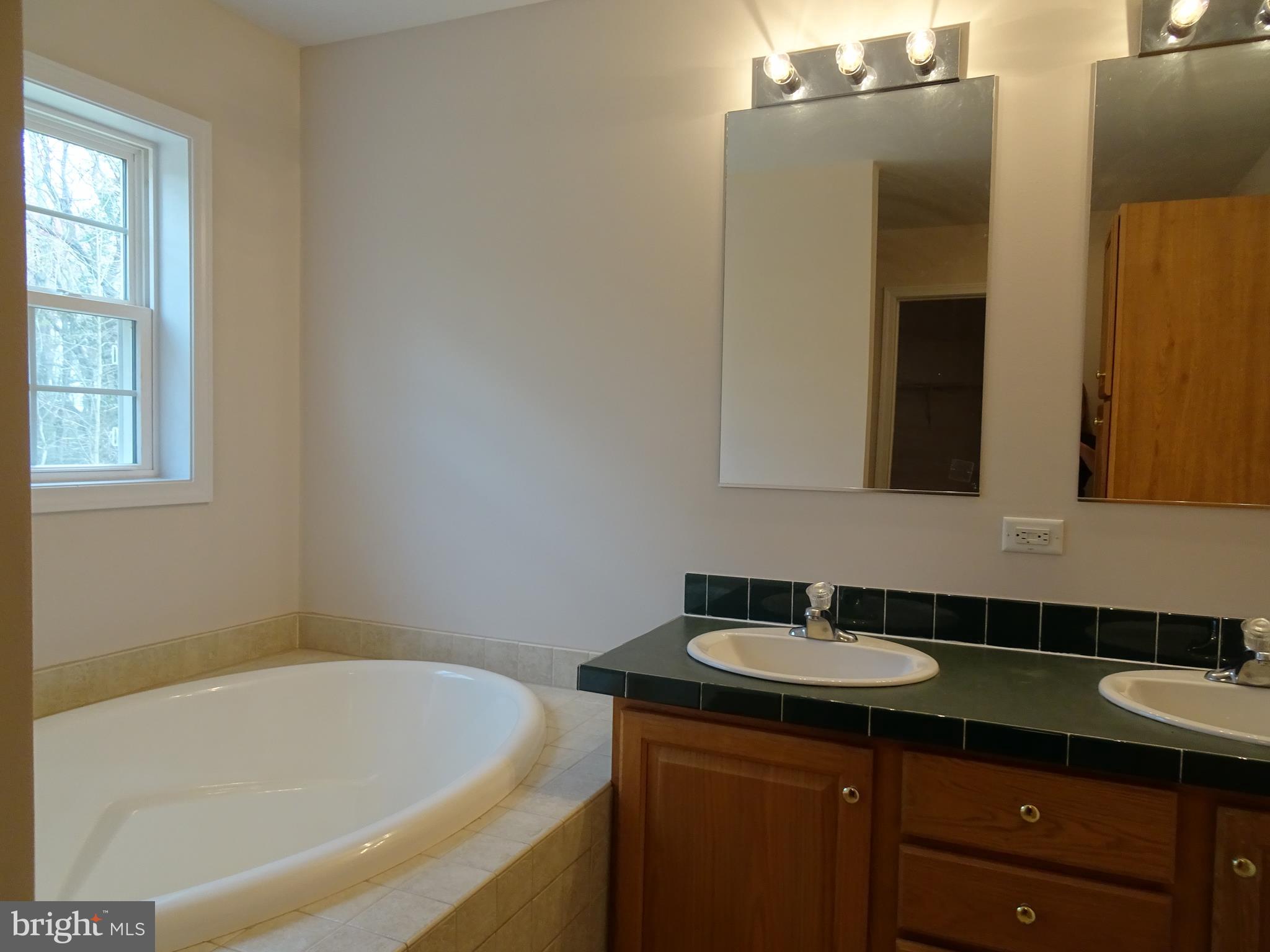 6002 Corey Way Hurlock, MD 21643 - Photo 20 of 61 Double vanity, and soaking tub.