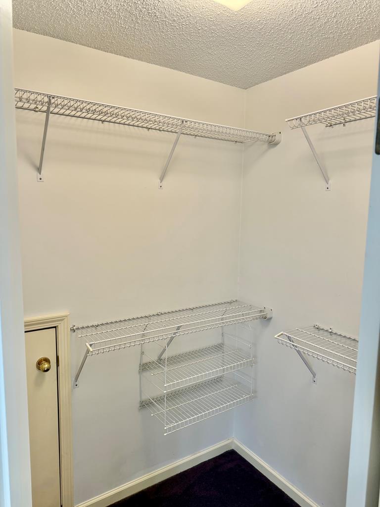 3341 Flowers Chapel Road Dothan, AL 36305 - Photo 60 of 80 1st Walk-In Closet