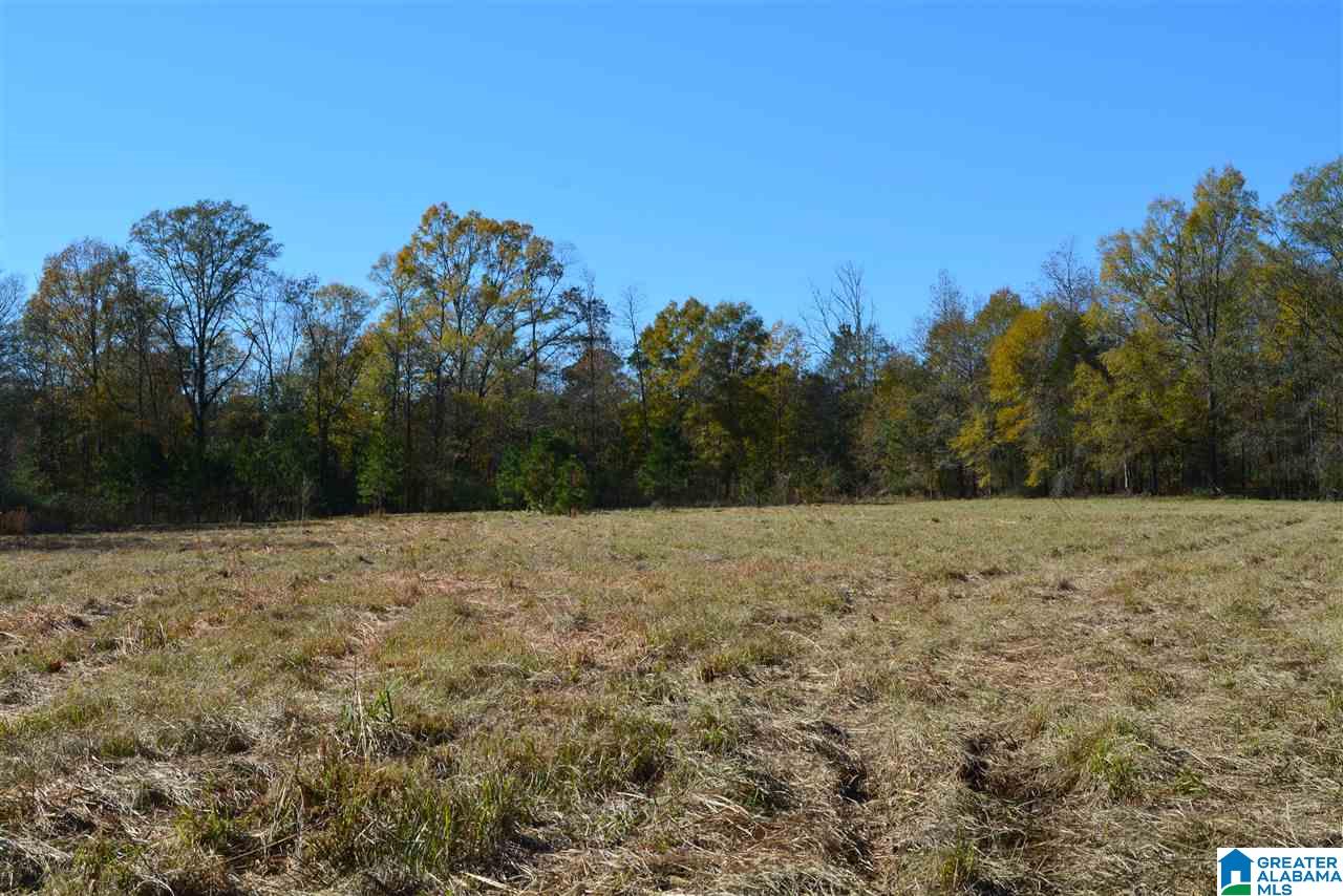 8333 Chelsea Road, Unit 1 Columbiana, AL 35051 - Photo 2 of 7 Gallery Image 2