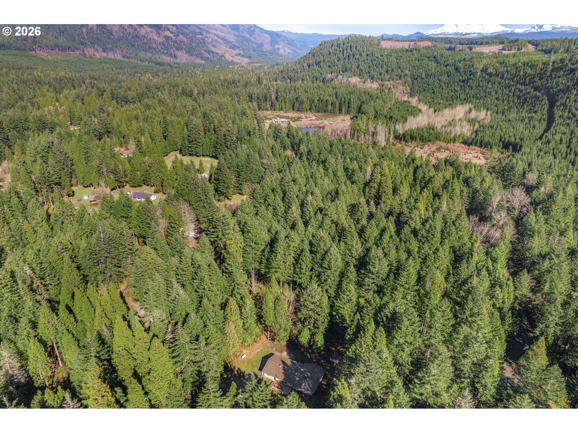 91638 Horse Creek Road Blue River, OR 97413 - Photo 44 of 47 a view of a lush green forest with trees and some houses