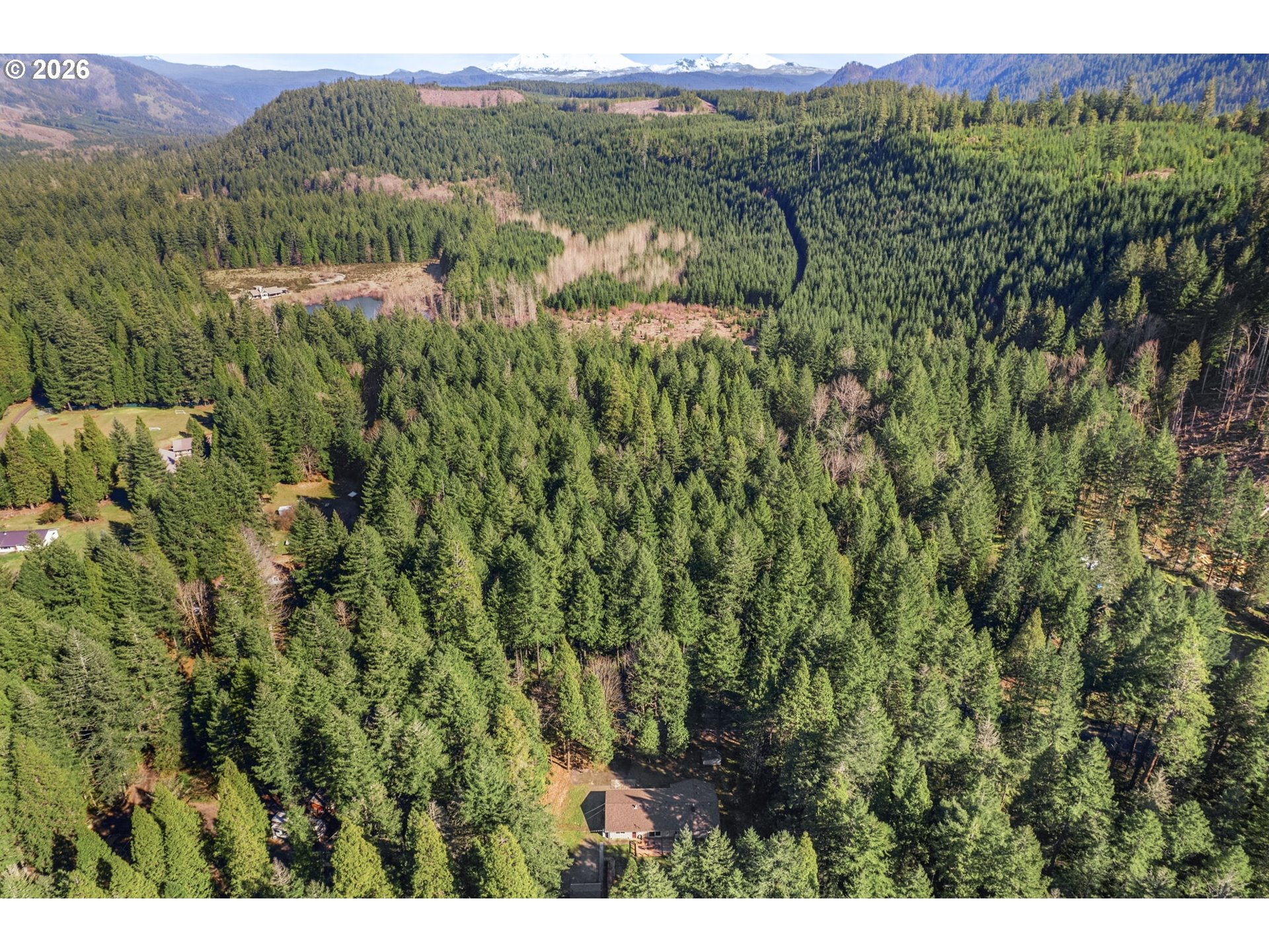 91638 Horse Creek Road Blue River, OR 97413 - Photo 45 of 47 a view of mountain with trees in the background