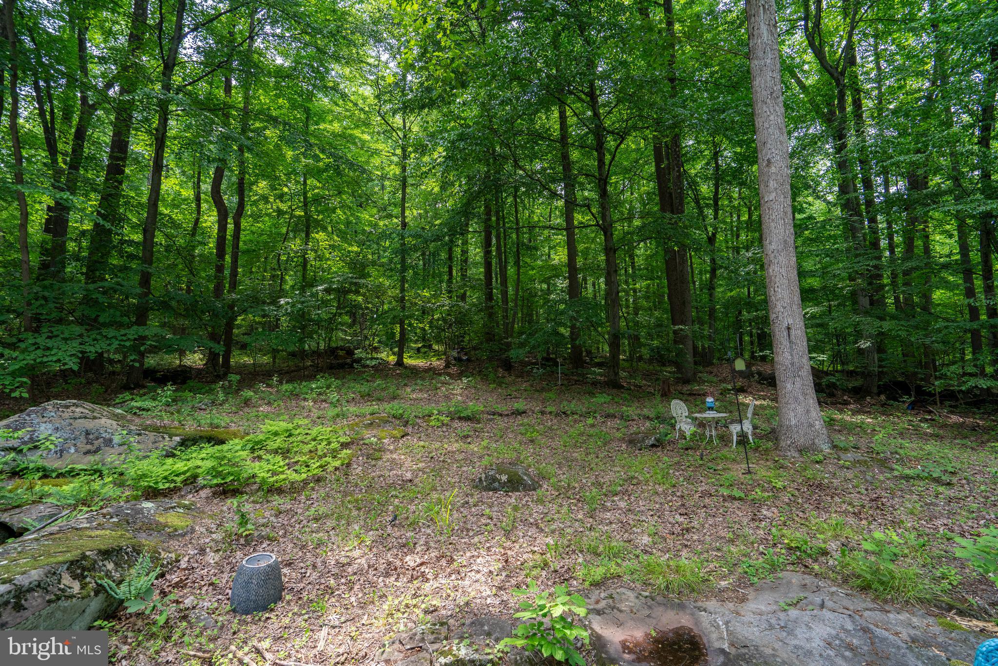 284 Whites Mill Road Green Lane, PA 18054 - Photo 51 of 54 a big yard with lots of green space and trees