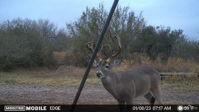 0 Cr 309 Road Encino, TX 78353 - Photo 16 of 18