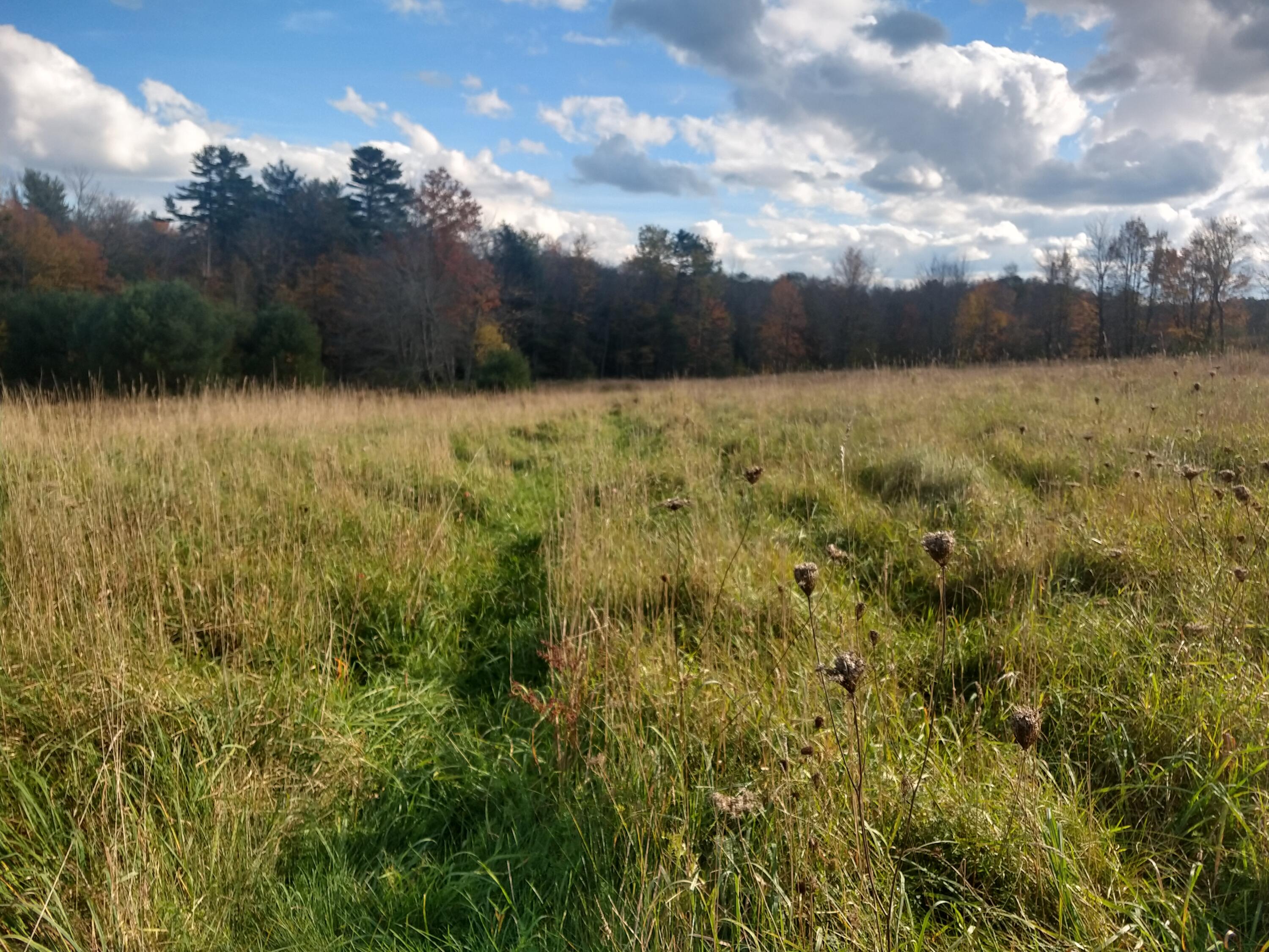 IMG_20211022_144938563_HDR