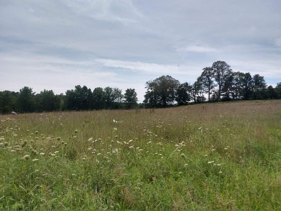 2494 Hallowell Road Litchfield, ME 04350 - Photo 2 of 9 received_362145922277962