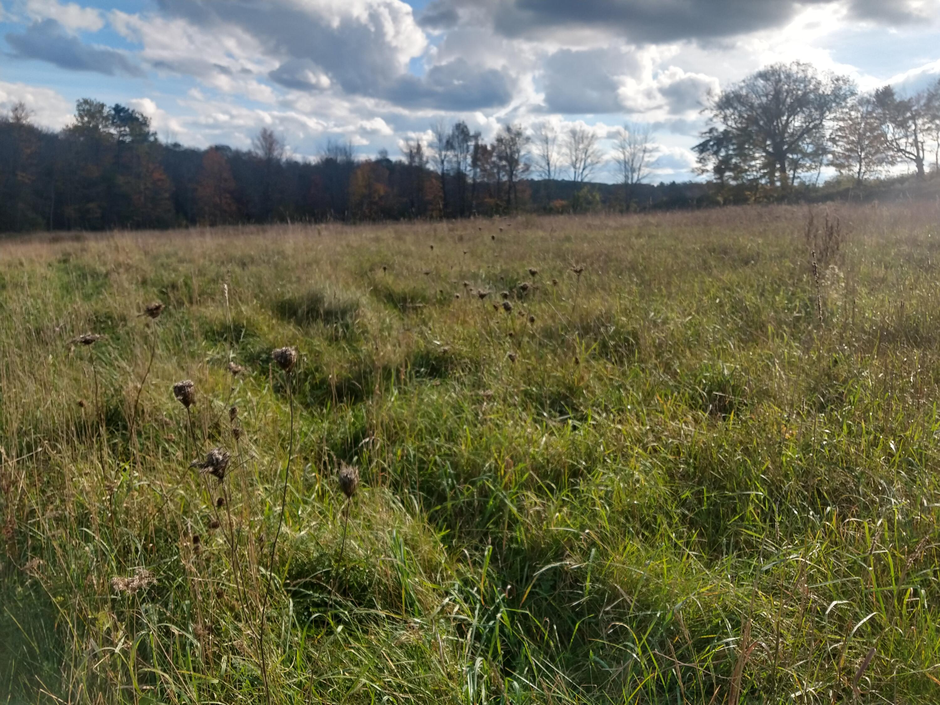 2494 Hallowell Road Litchfield, ME 04350 - Photo 4 of 9 IMG_20211022_144937250_HDR