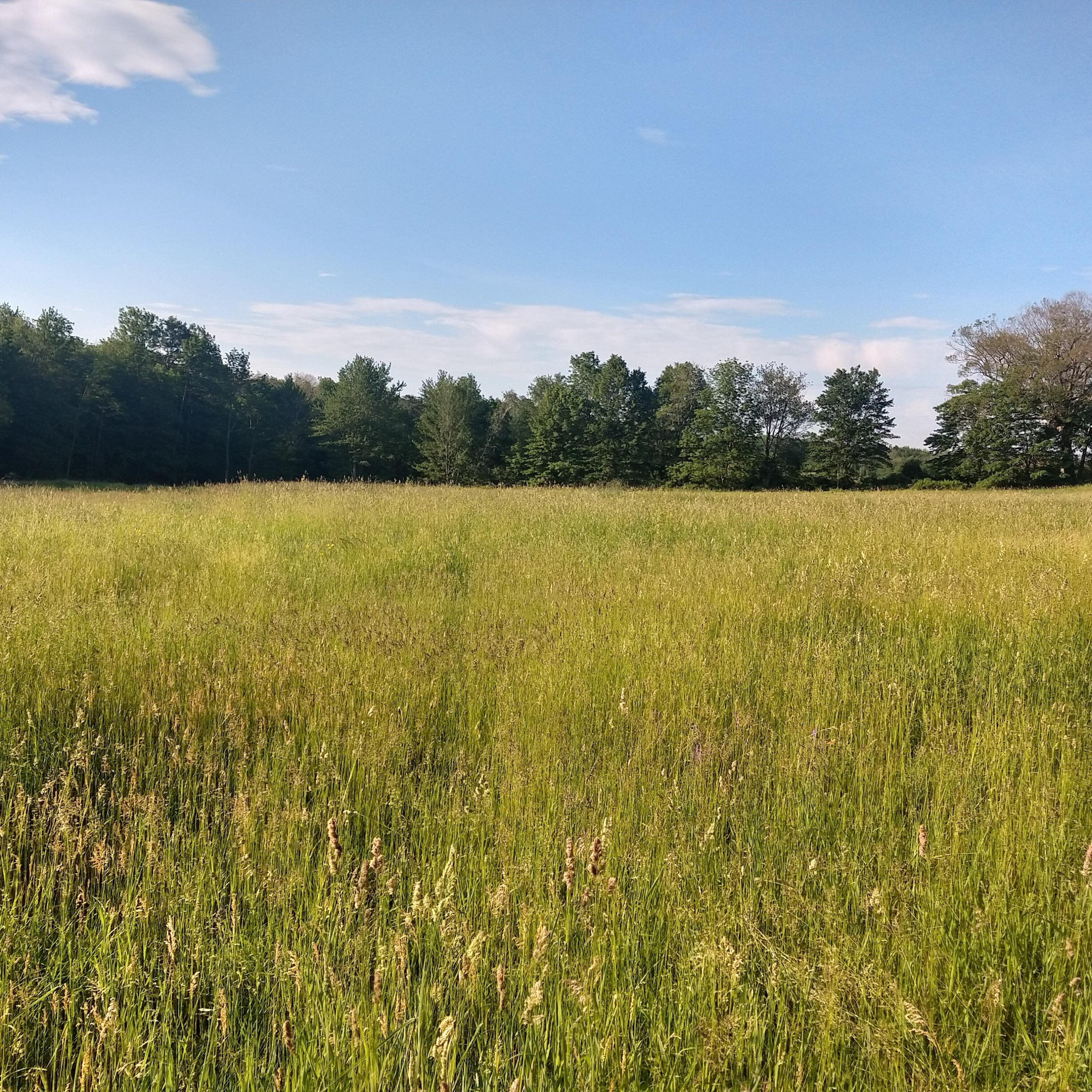 2494 Hallowell Road Litchfield, ME 04350 - Photo 5 of 9 IMG_20210618_151825_595